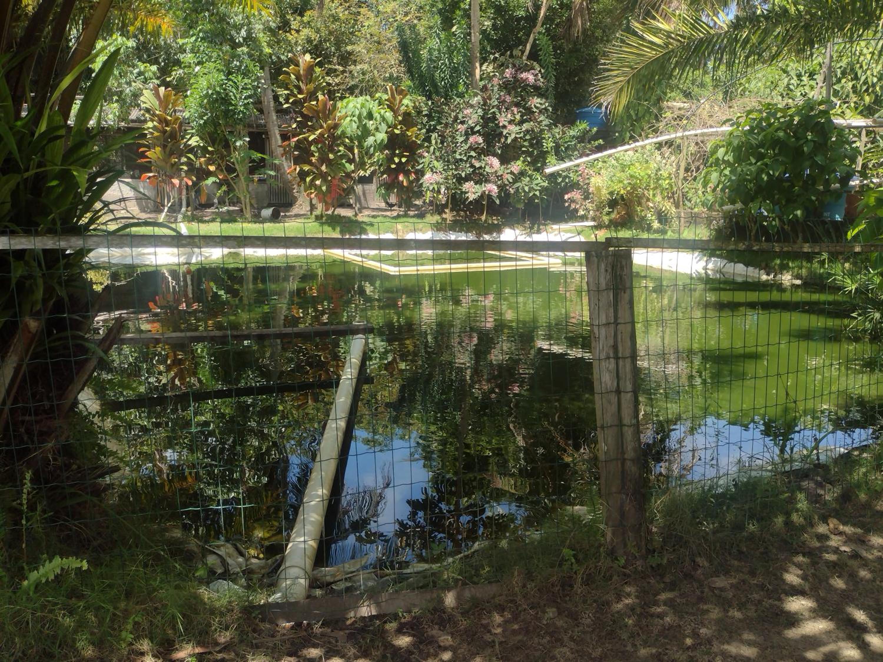 Hospedaria Recanto da Paz