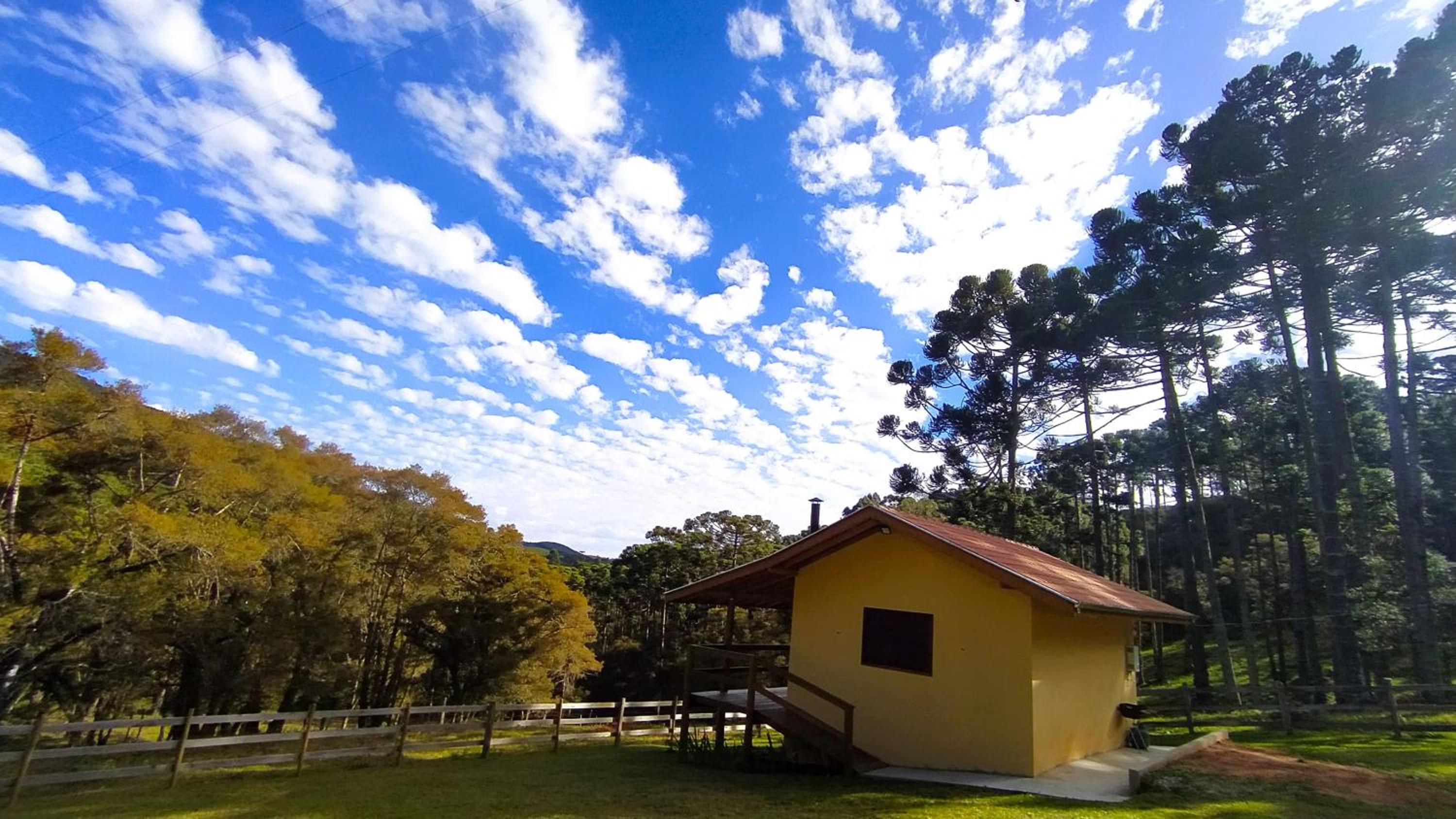 Chalé Refúgio das Araucárias view 4