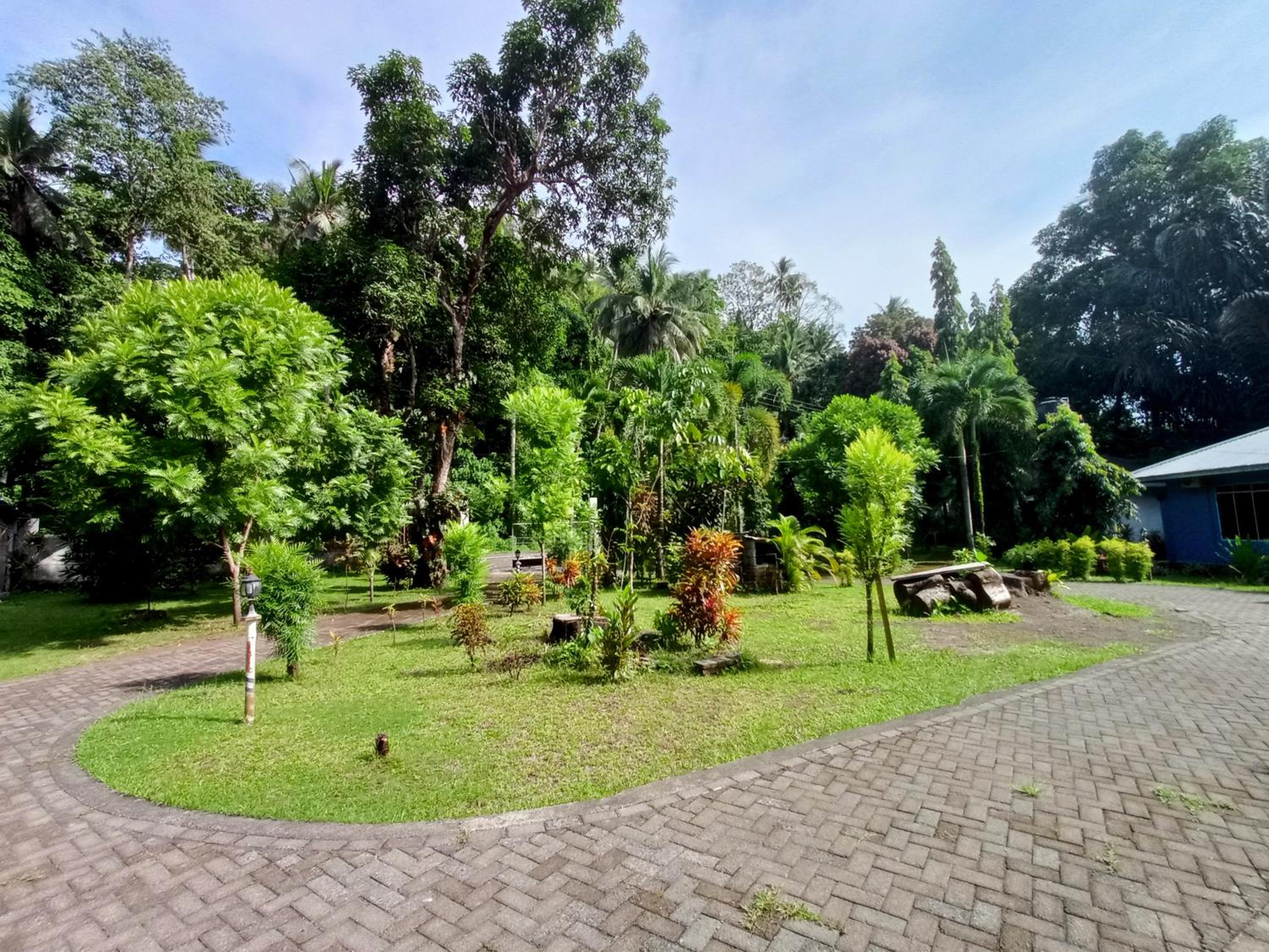 Tangkoko Lodge, 비퉁 - 11