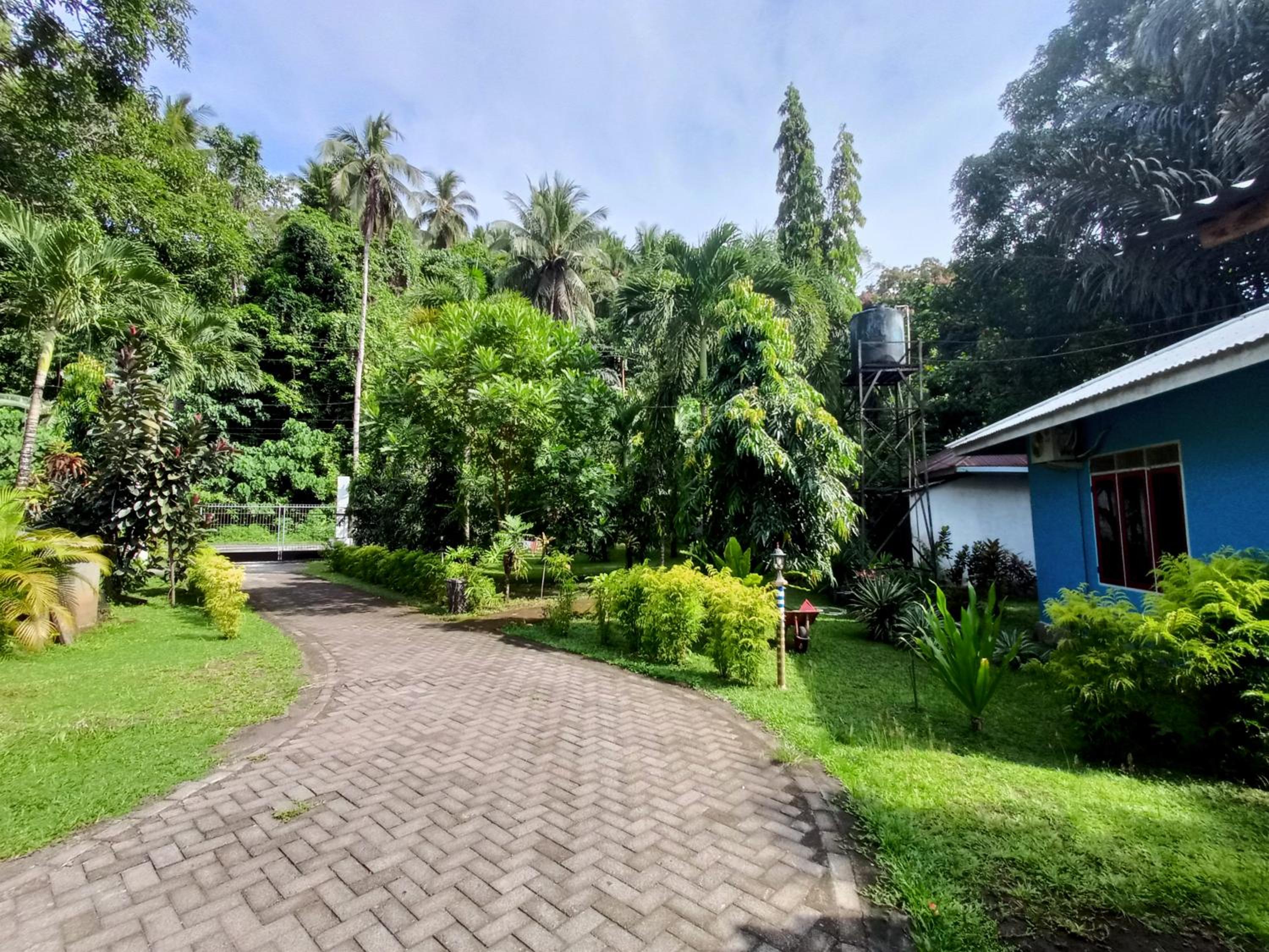Tangkoko Lodge, 비퉁 - 10
