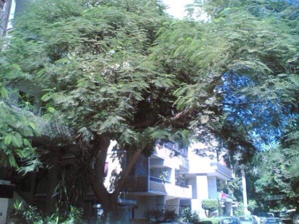 3 Bed Rooms Ac Fully Equipped flat in Mohandsseen Cairo