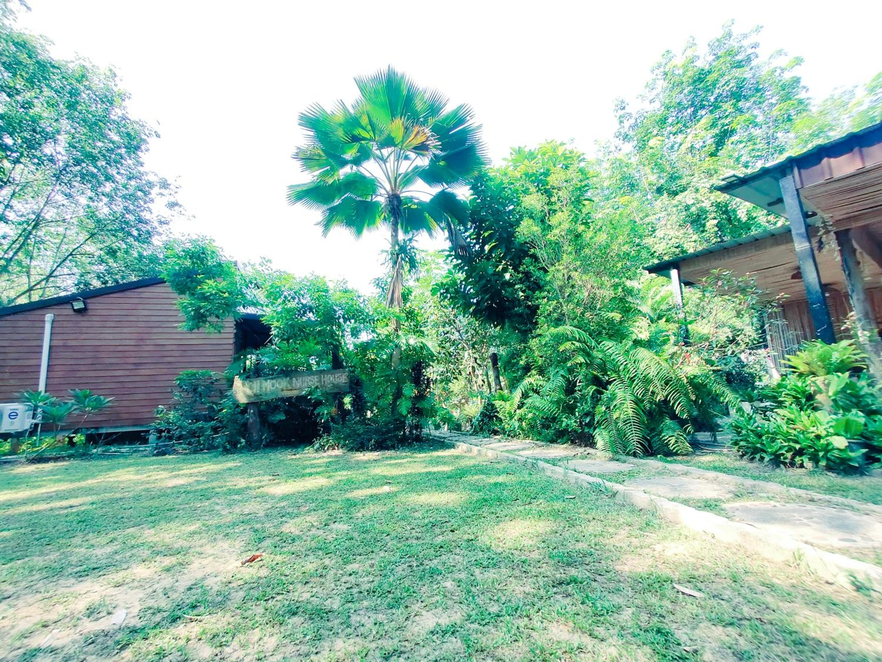 Photo 22
