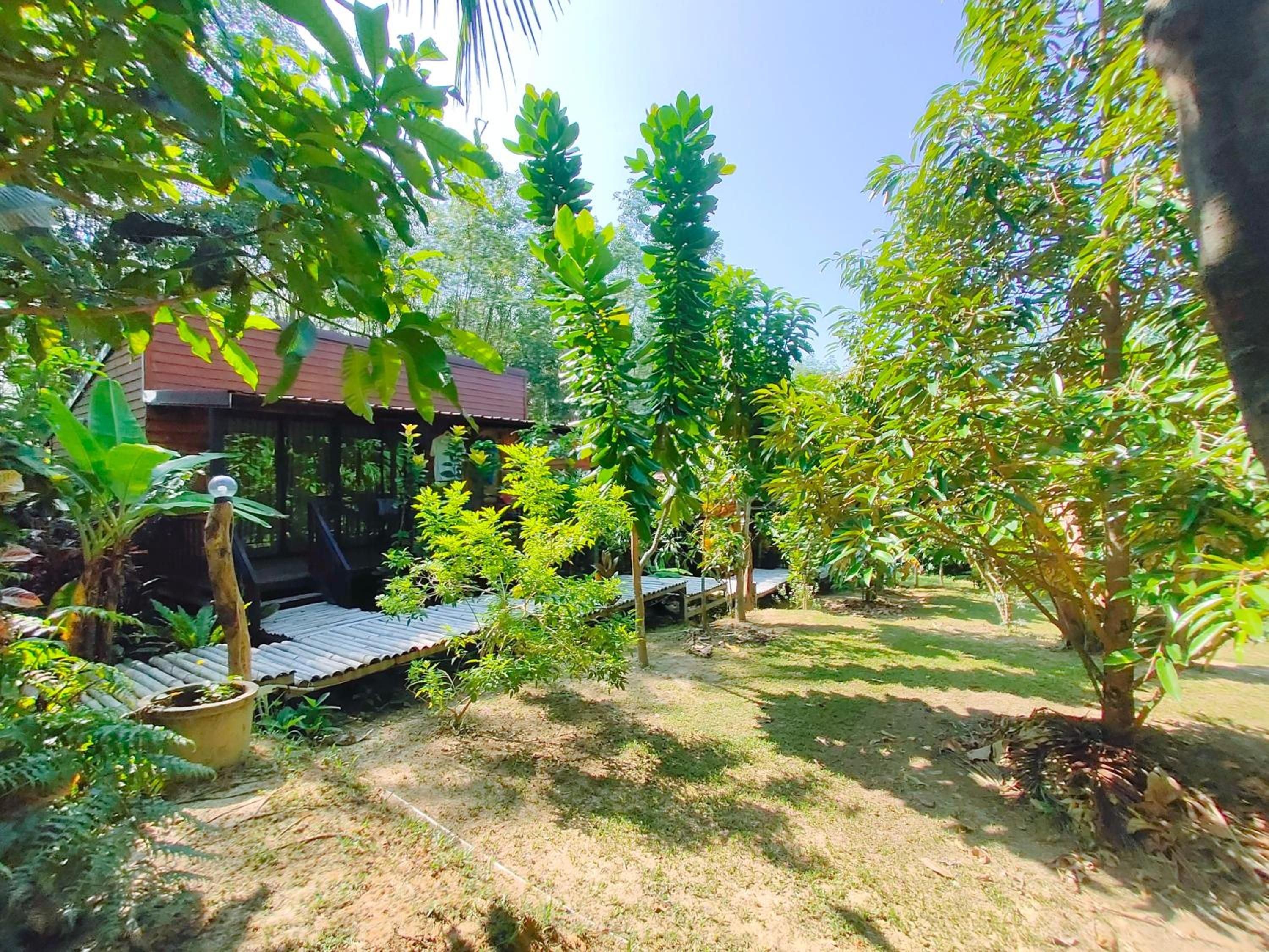 Kohmook Nurse House view 3
