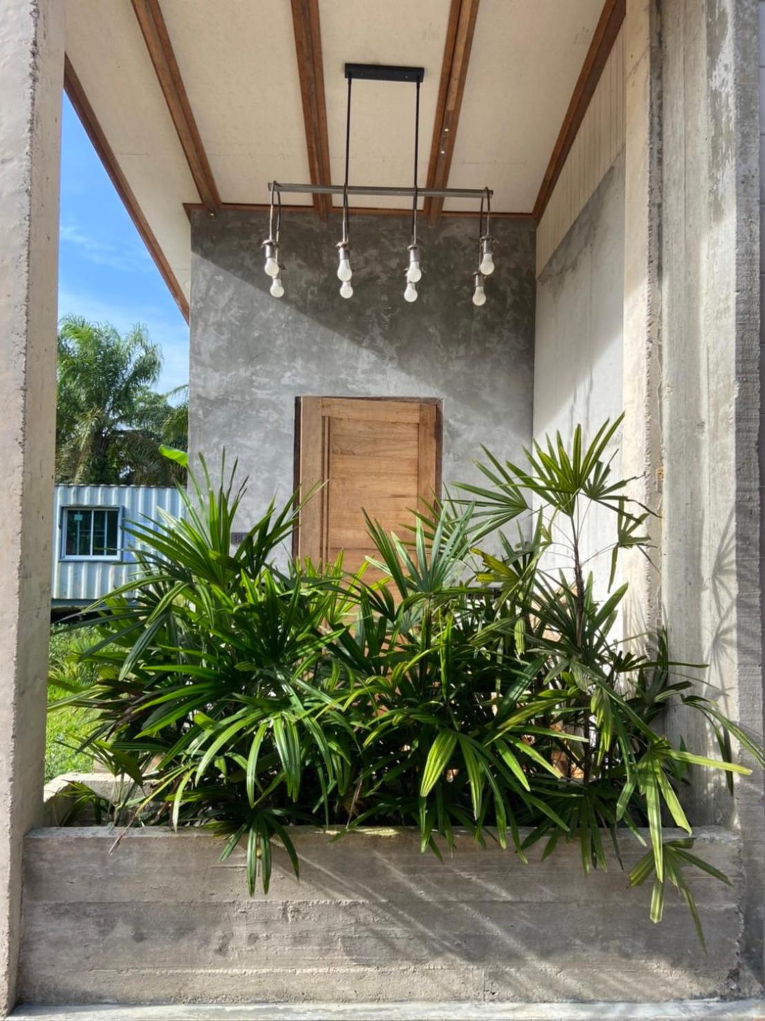 Forest Guesthouse