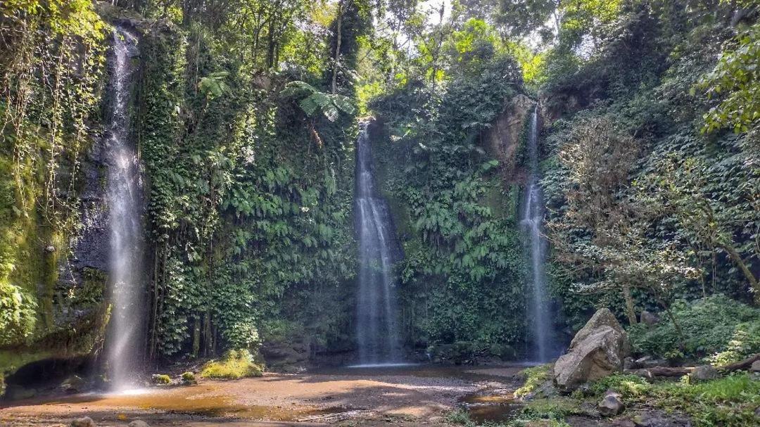 Tetebatu Mountain View Homestay