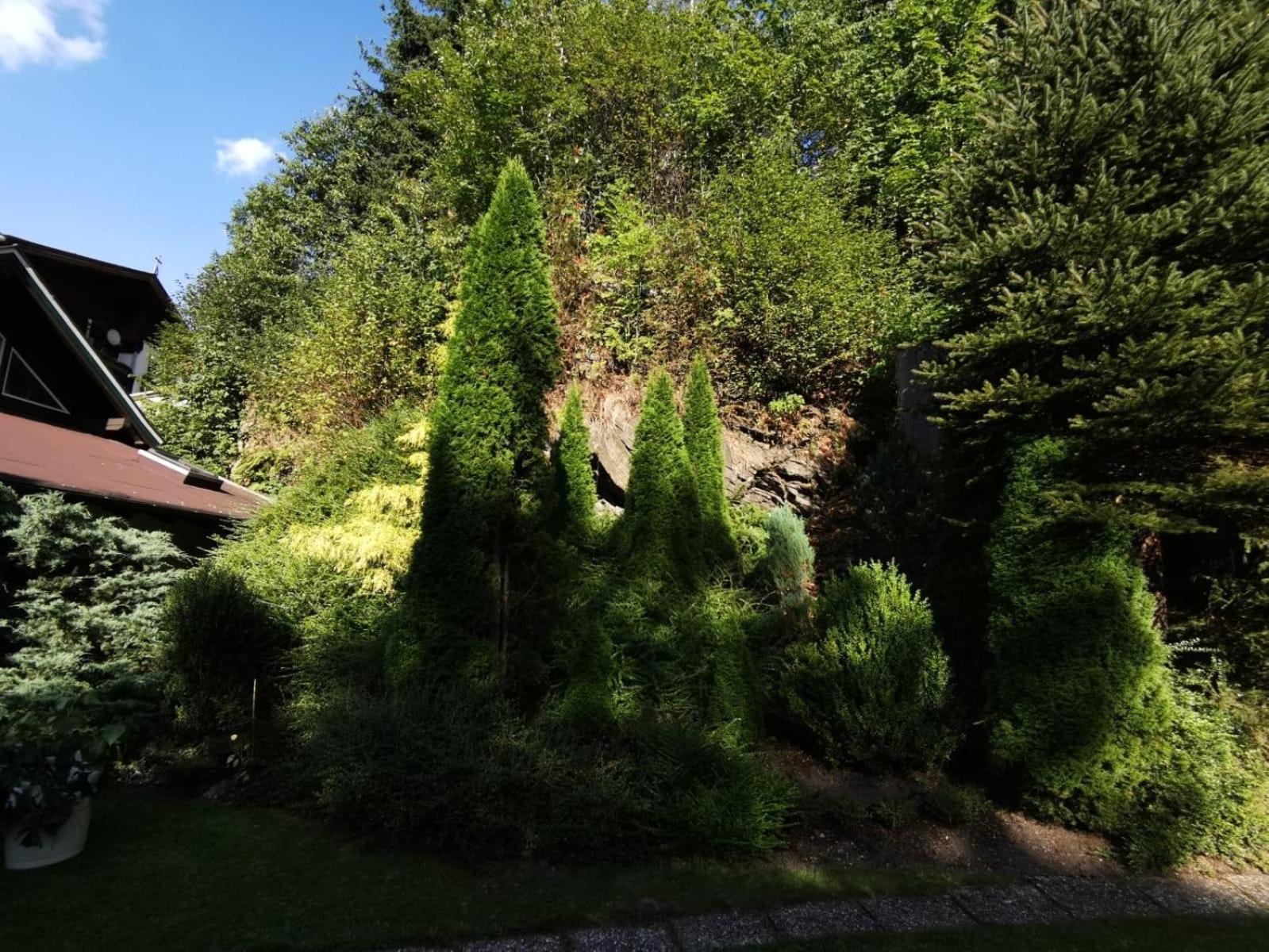 Haus am Bach view 5