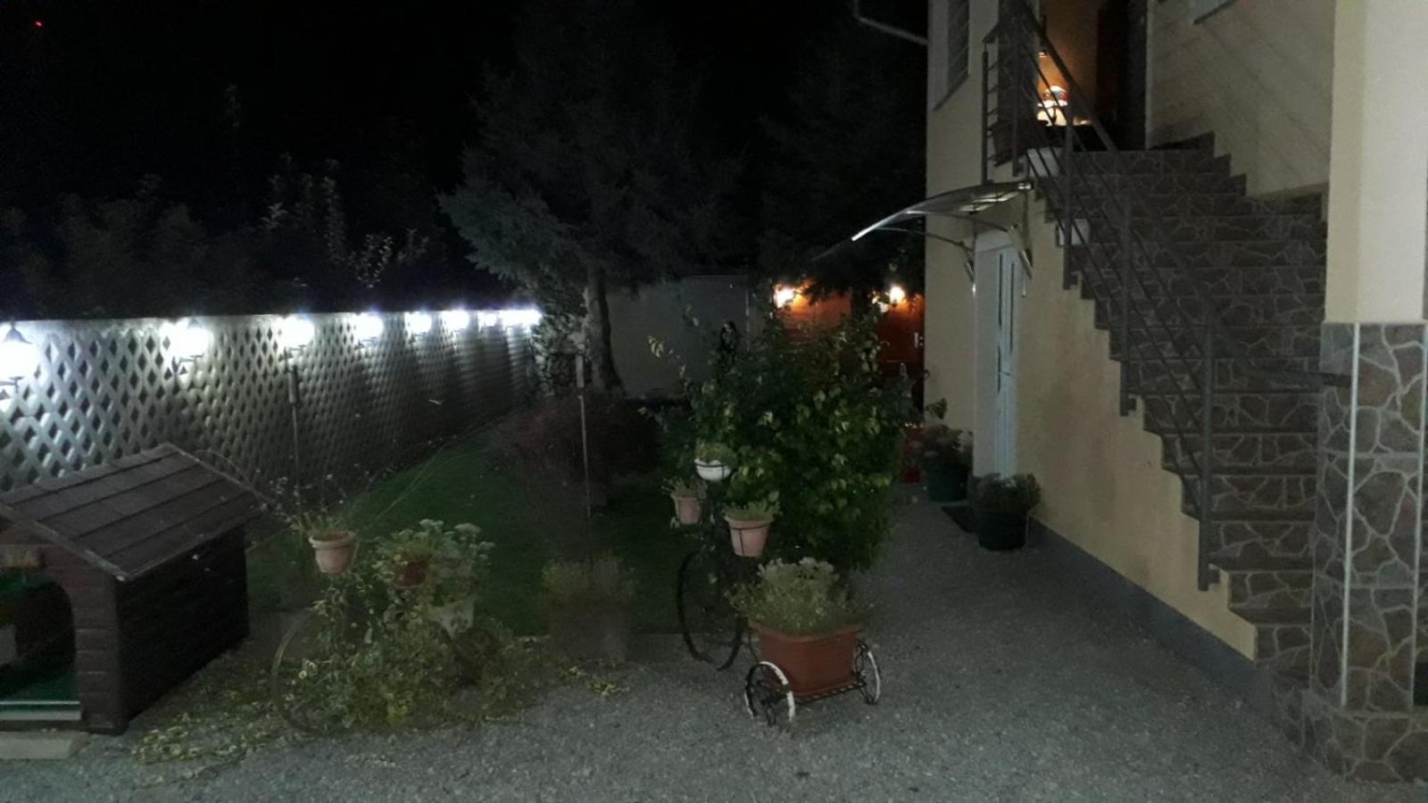 Photo 38