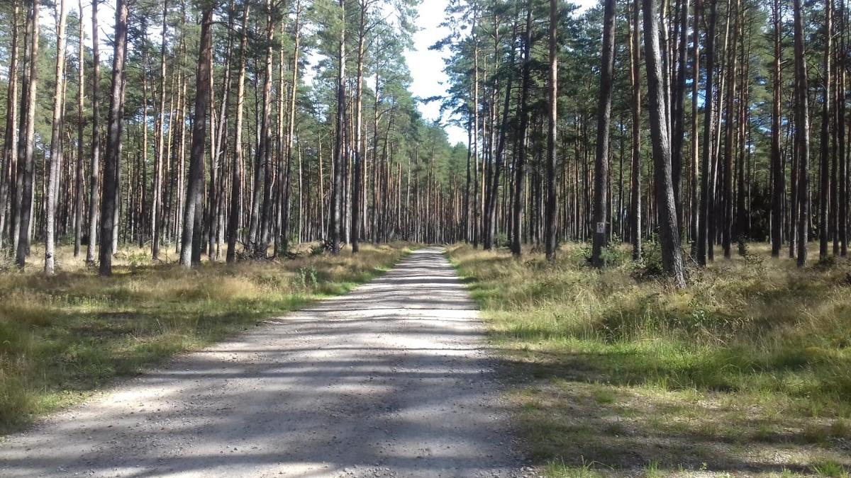 Photo 27