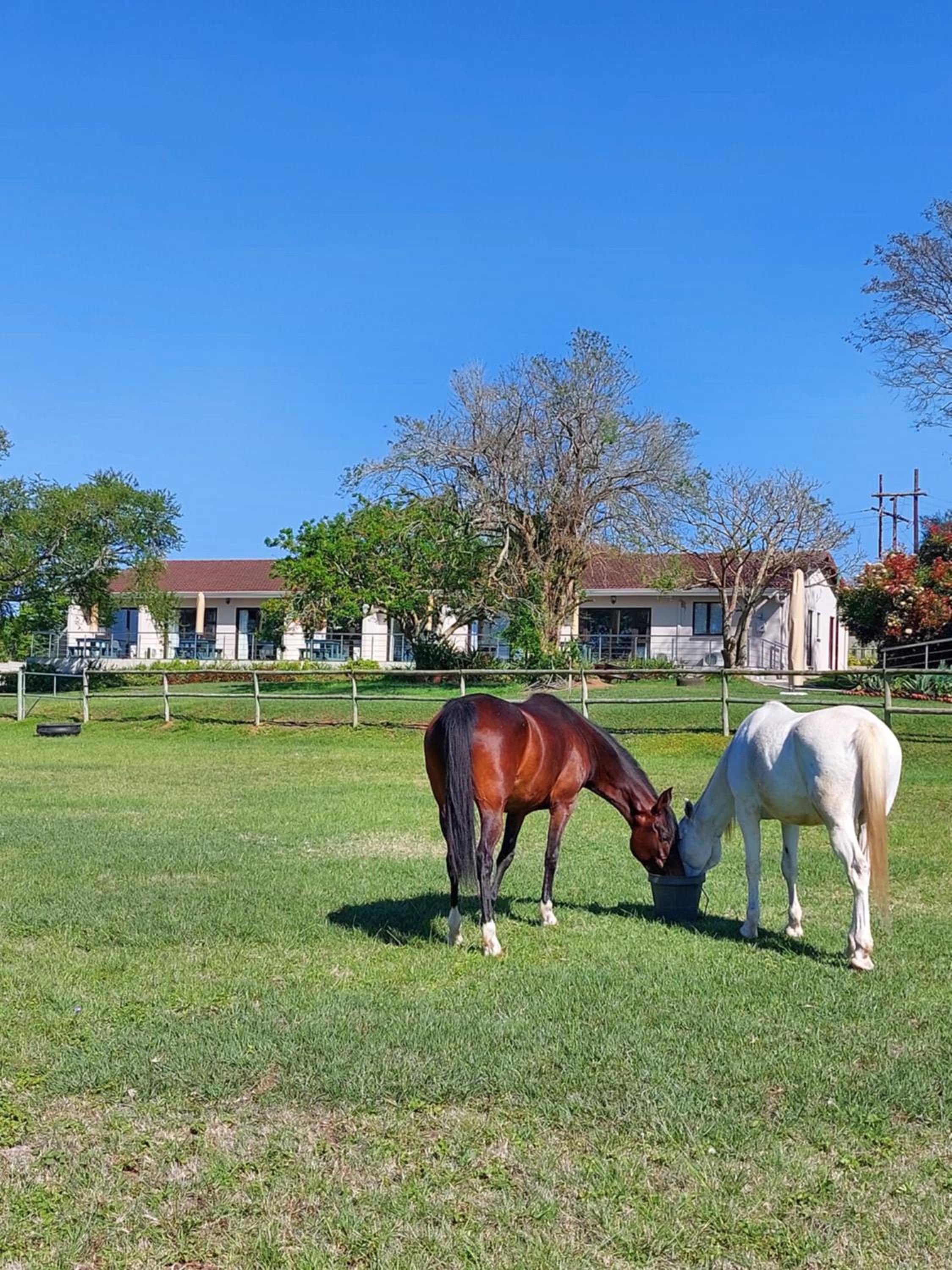 Equestre BnB