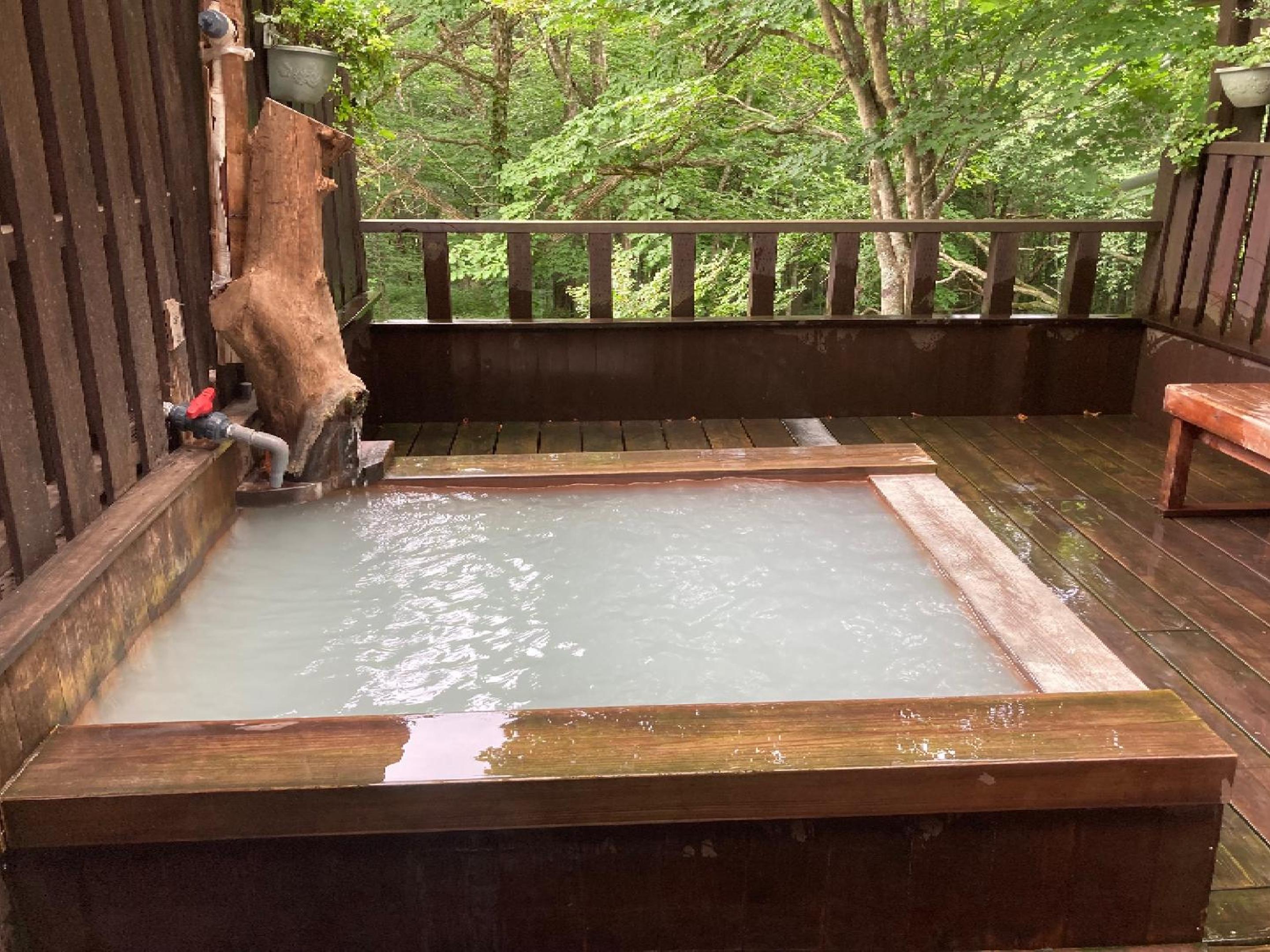 Shinyu Onsen Kurikomaso view 3