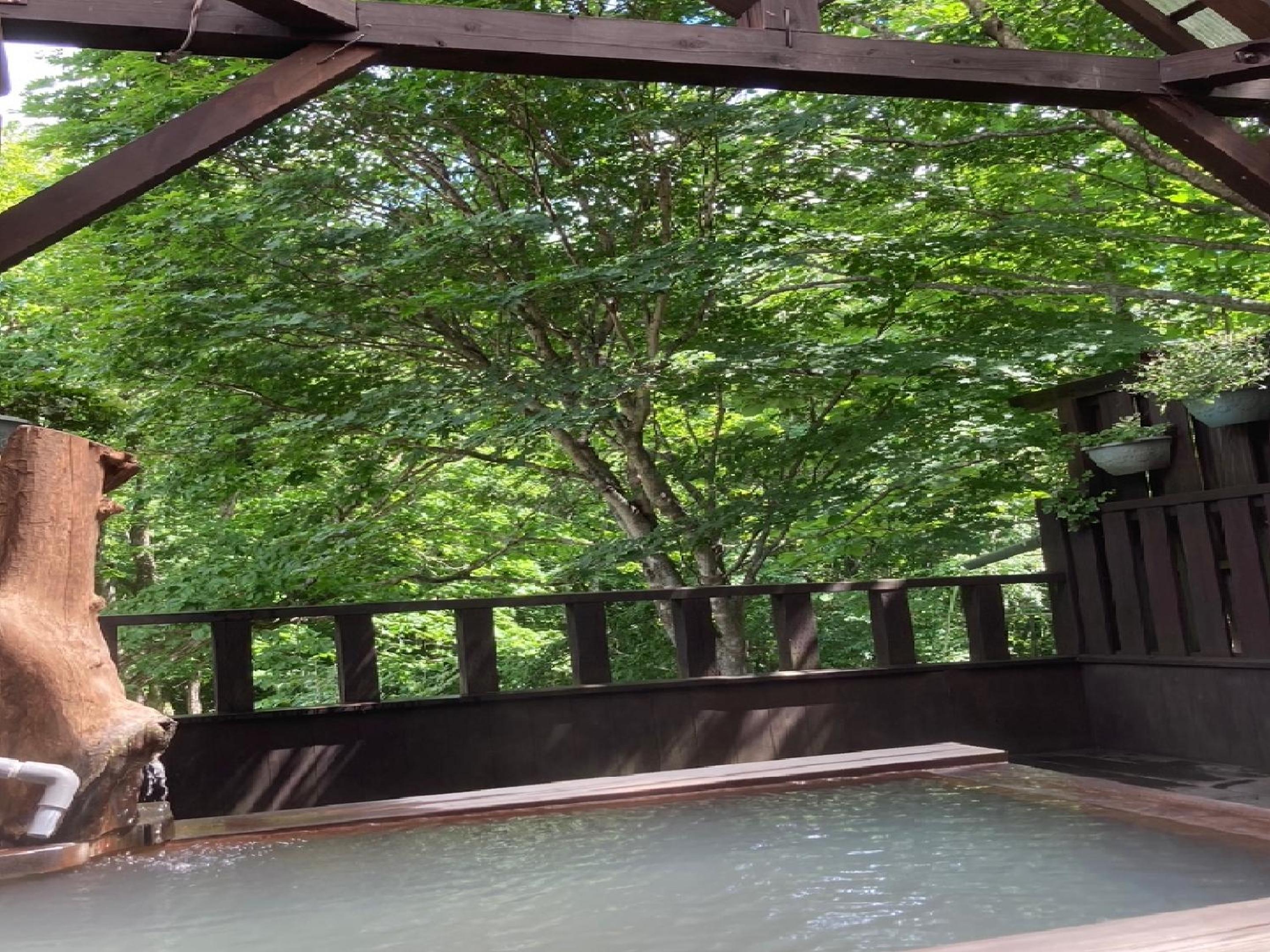 Shinyu Onsen Kurikomaso view 5