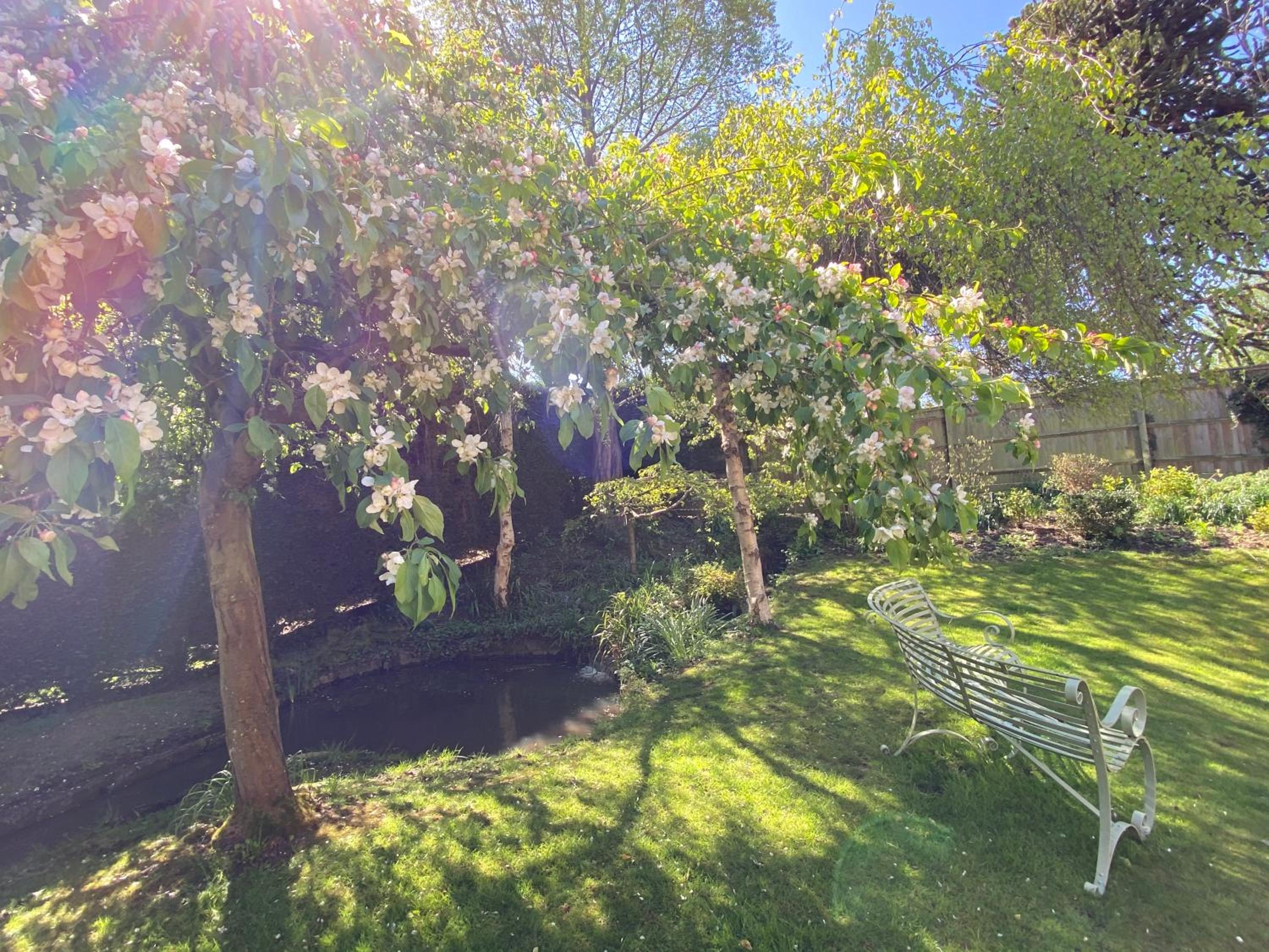 Photo 26