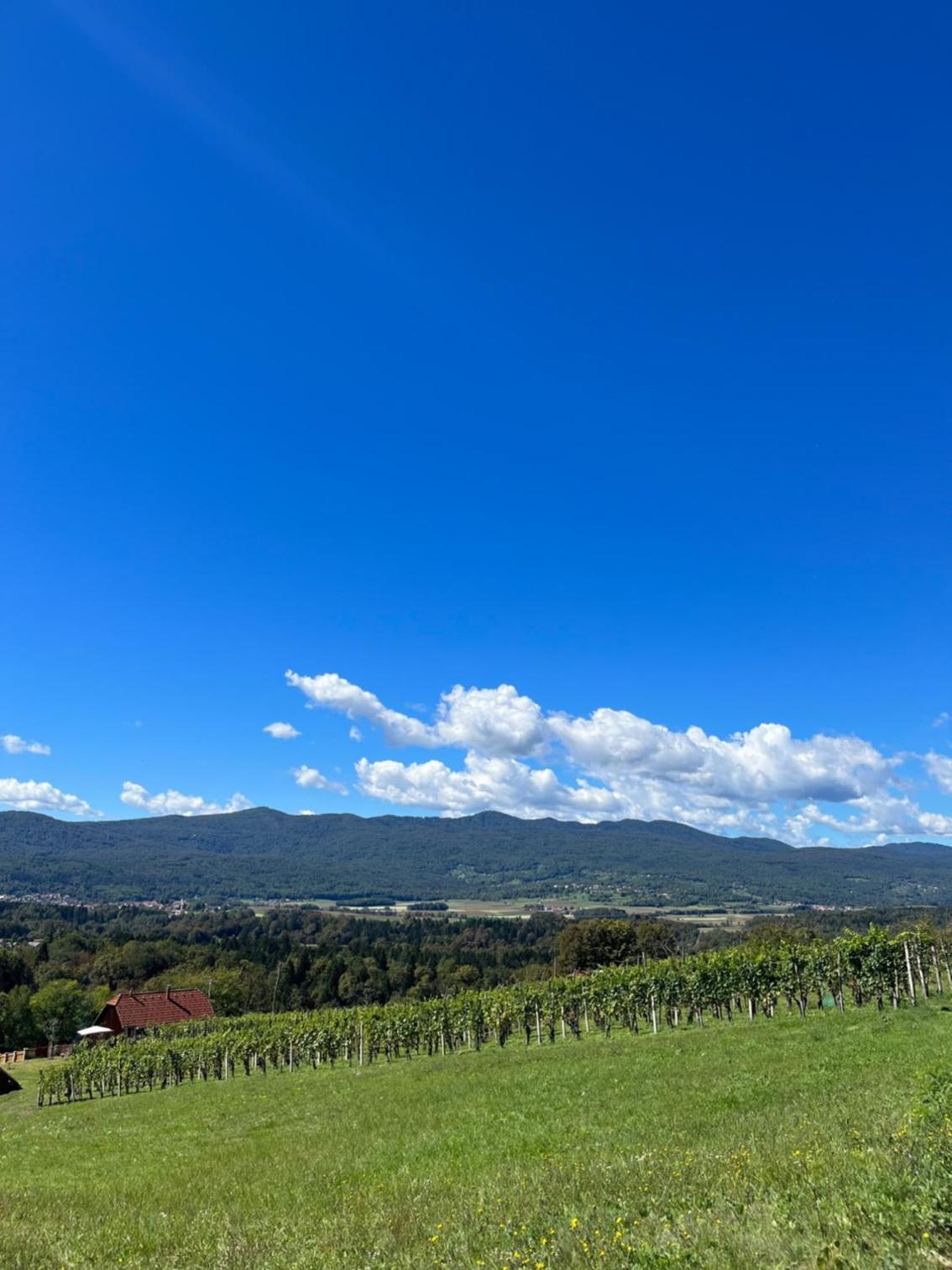Vineyard Cottage Maleric with Pool Access