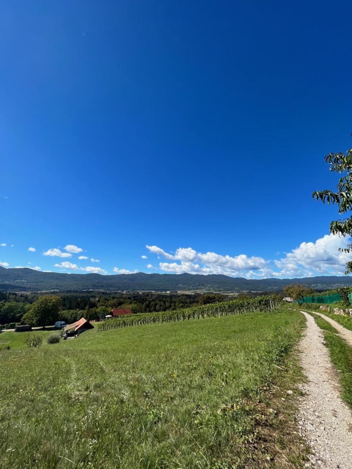 Vineyard Cottage Maleric with Pool Access