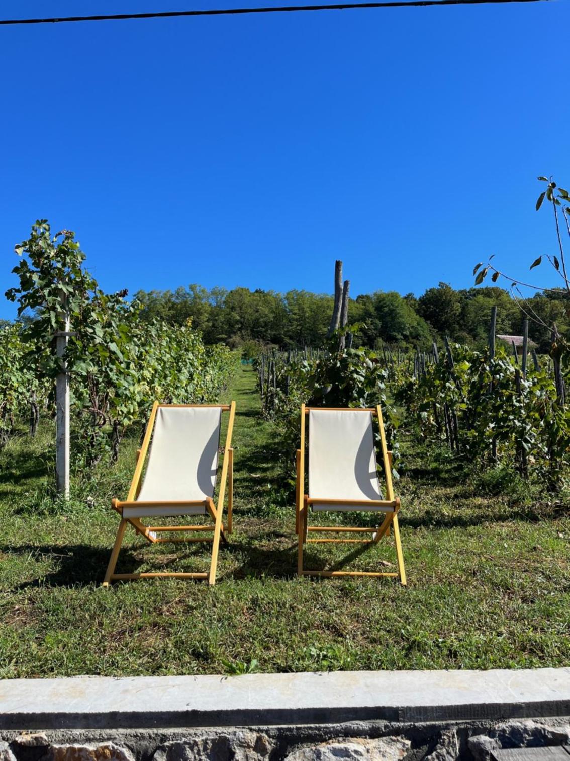 Vineyard Cottage Maleric with Pool Access