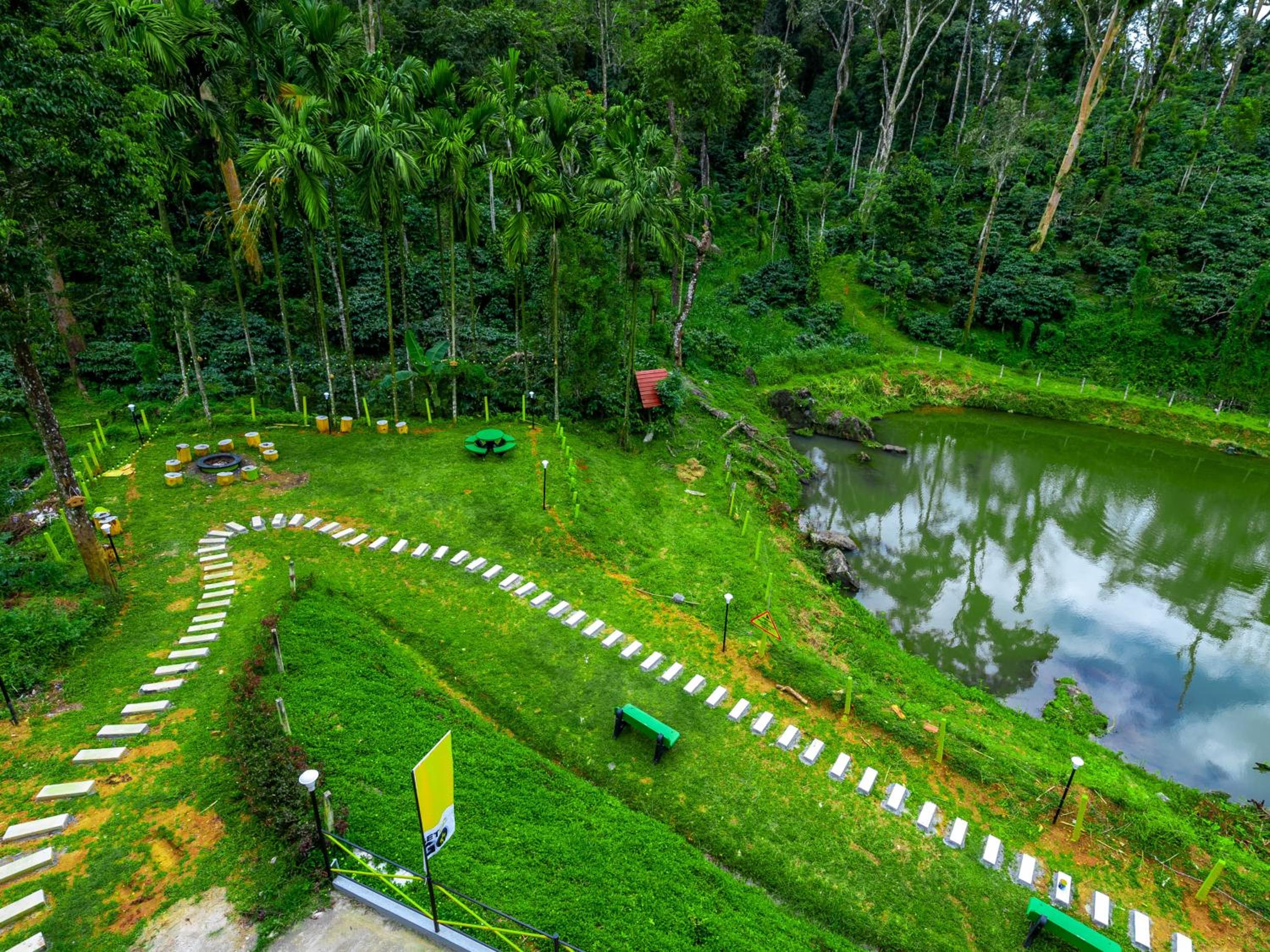 The Hosteller Coorg Rainforest, Madikeri view 2