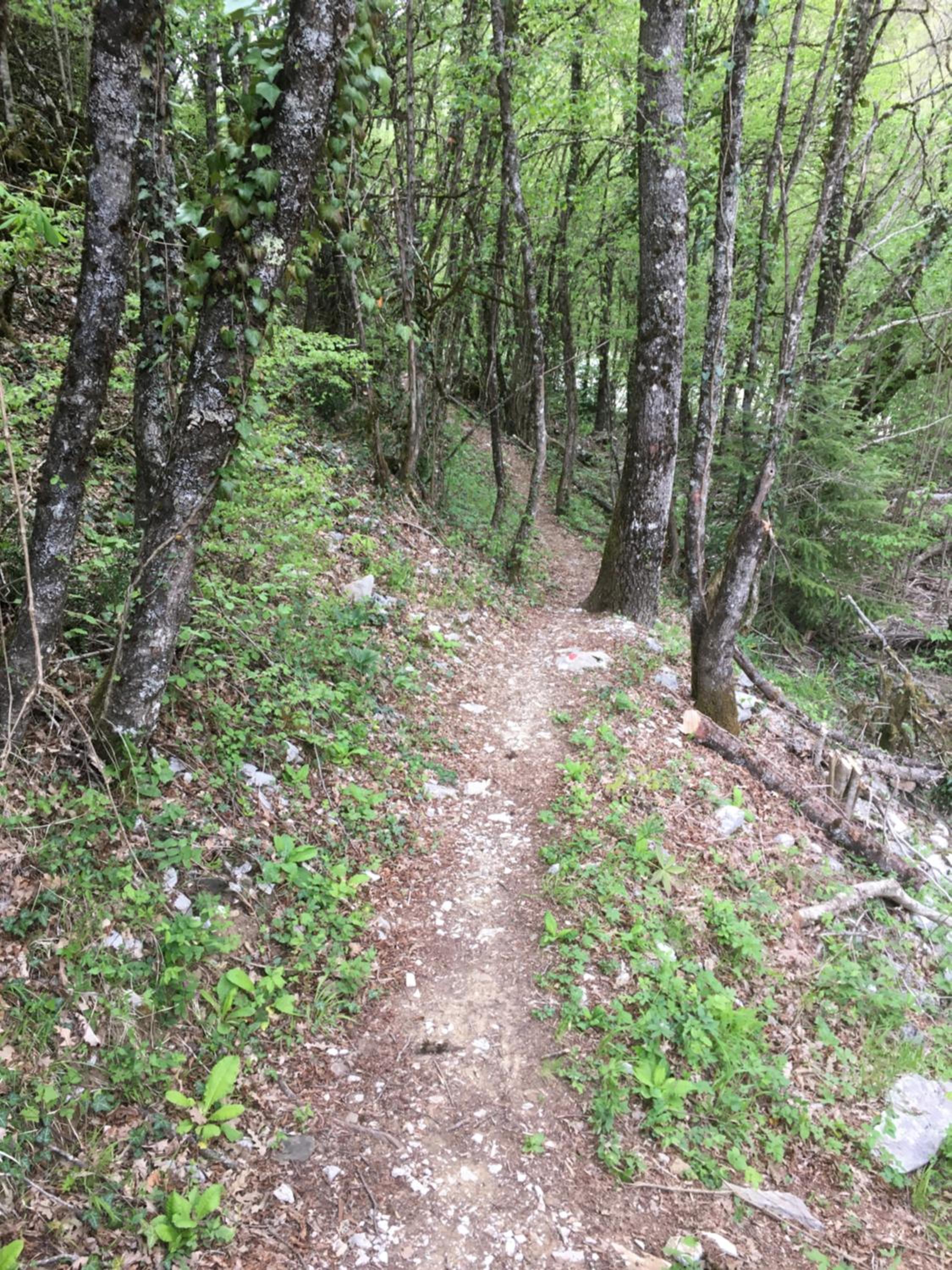 KATIKIA ZAGORI