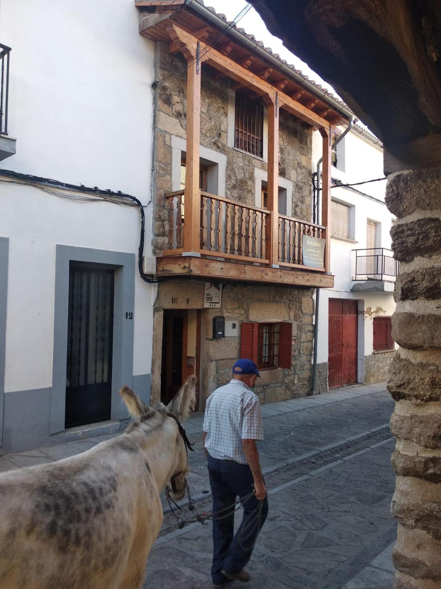 EL PIORNO DE ALCACERA