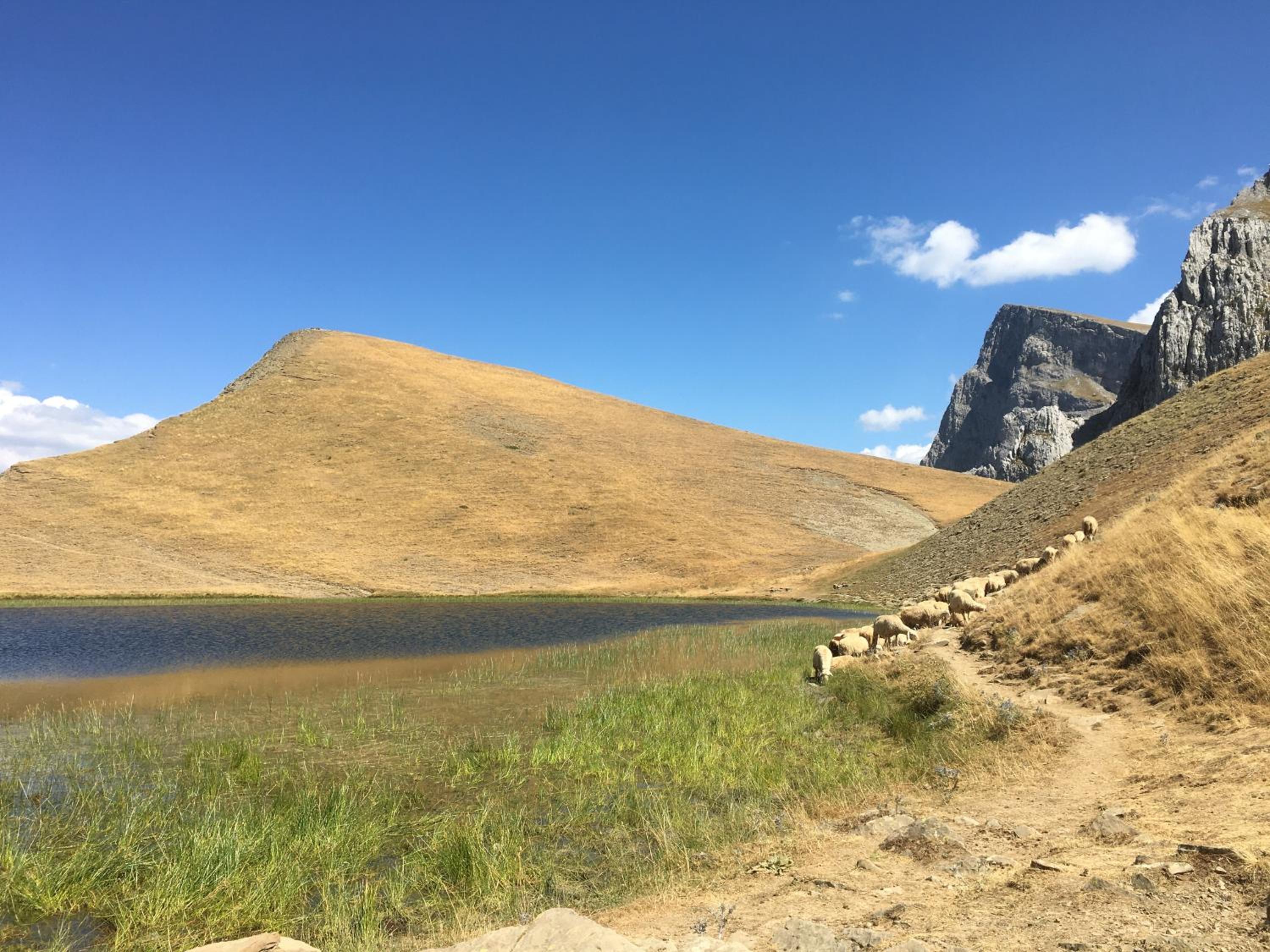 KATIKIA ZAGORI
