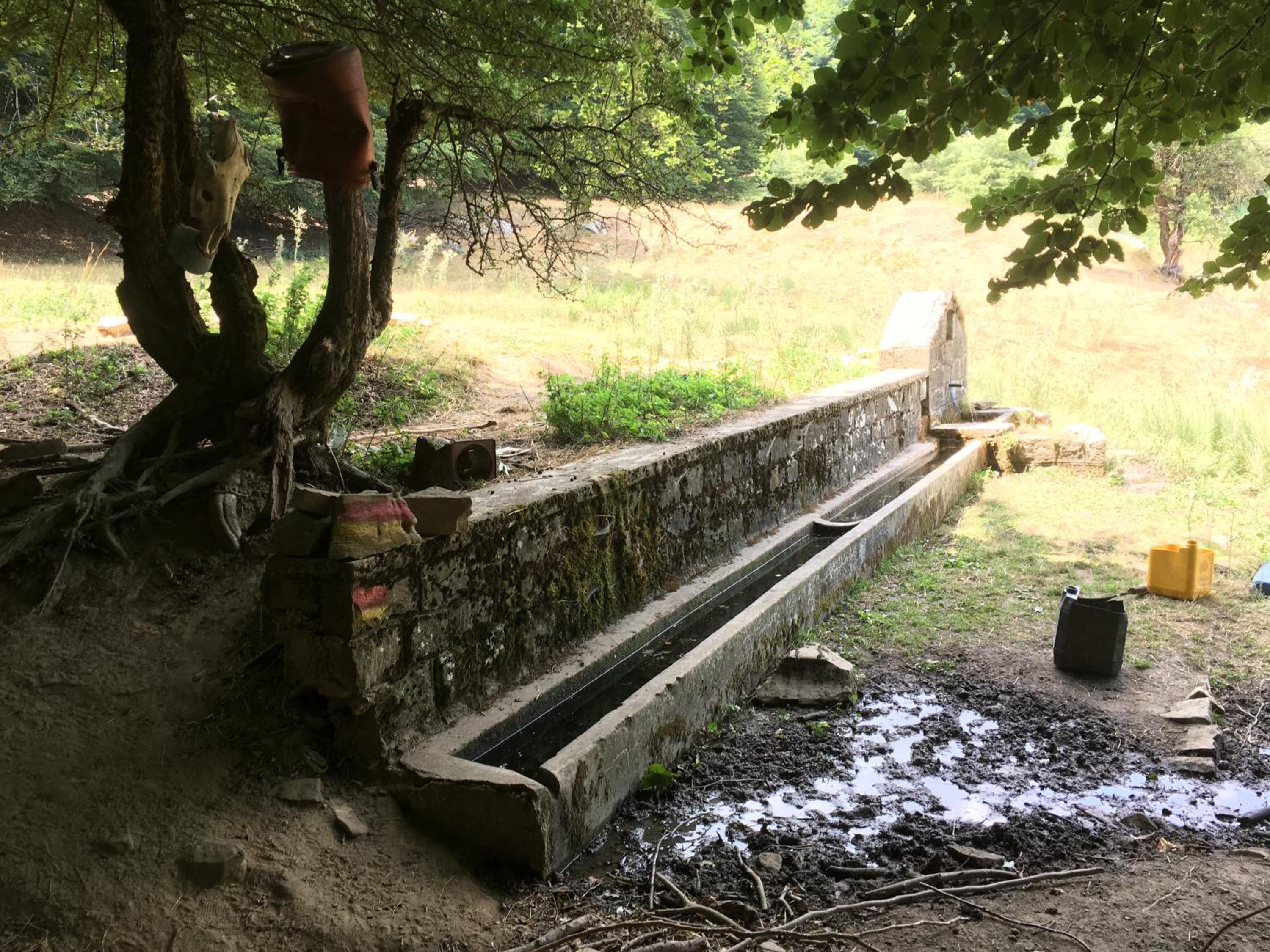 KATIKIA ZAGORI