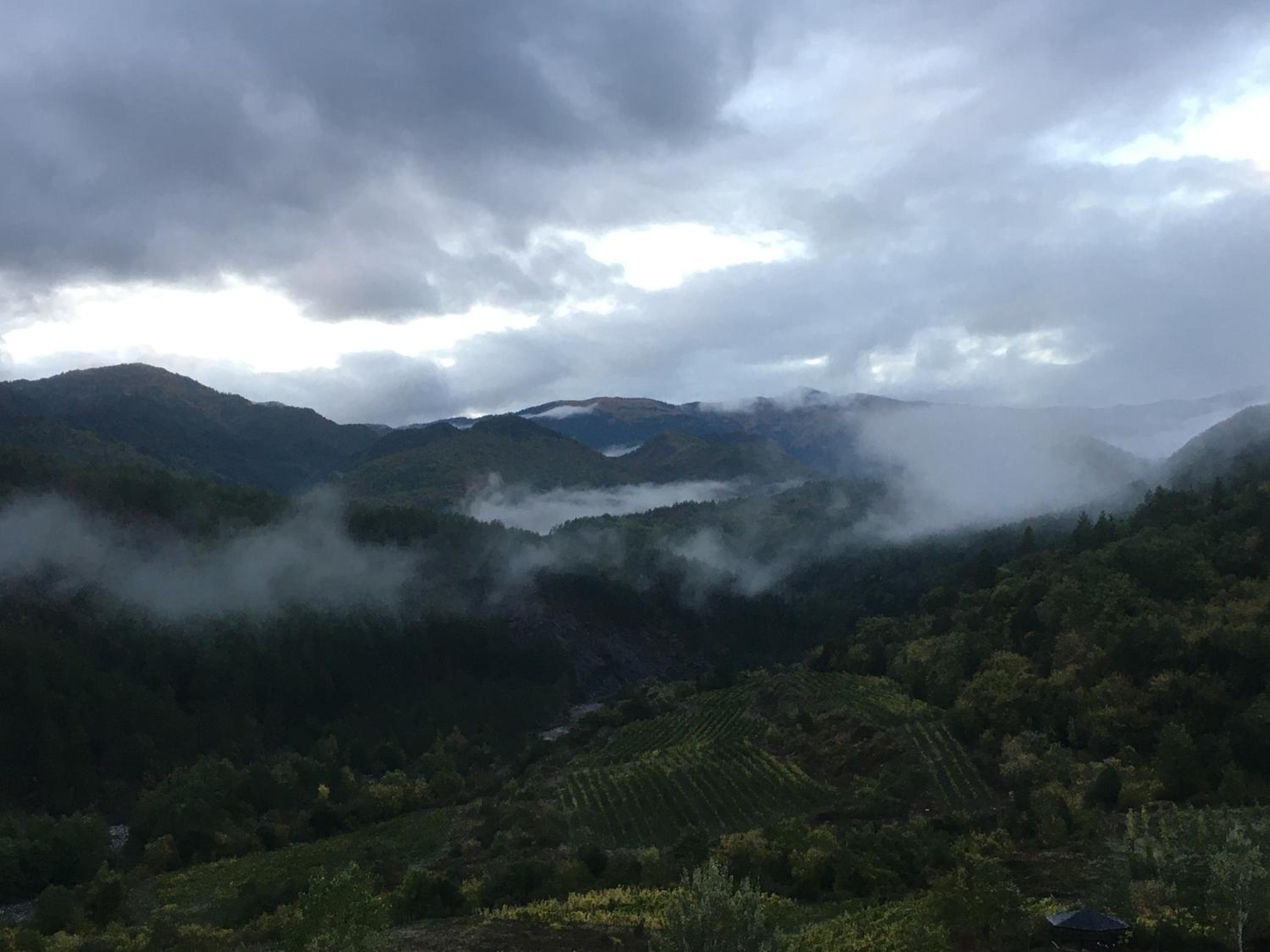 KATIKIA ZAGORI