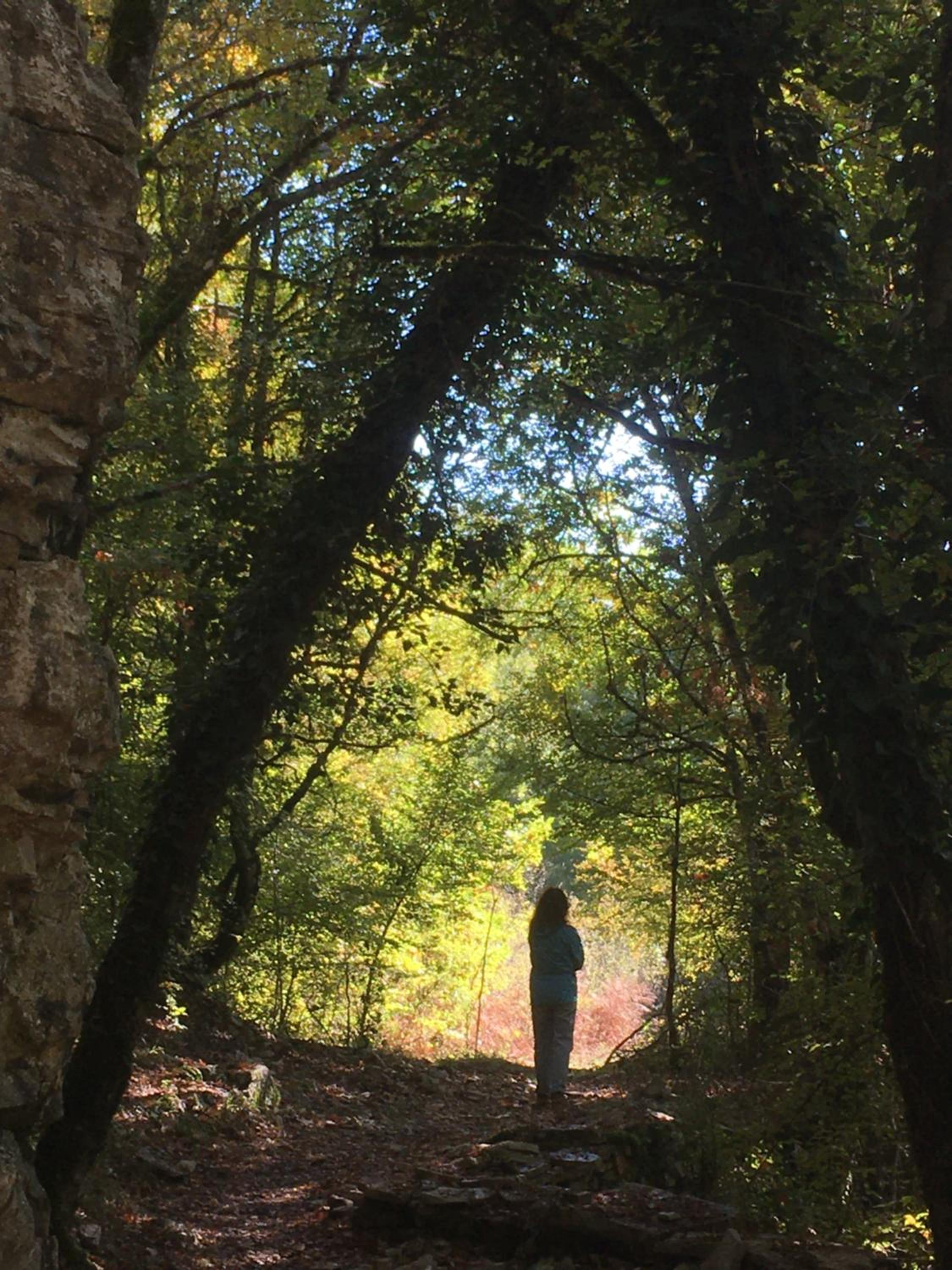 KATIKIA ZAGORI