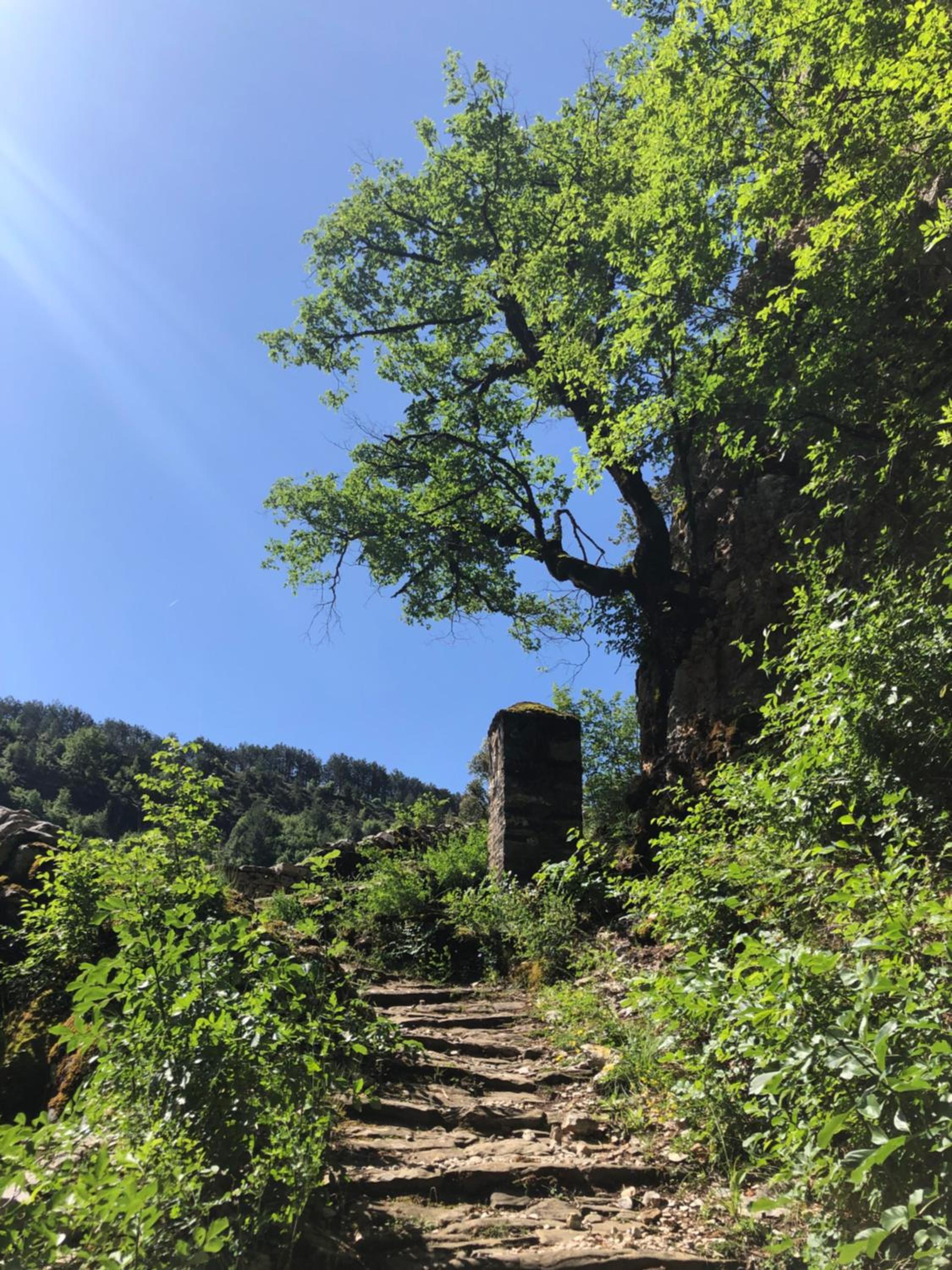 KATIKIA ZAGORI