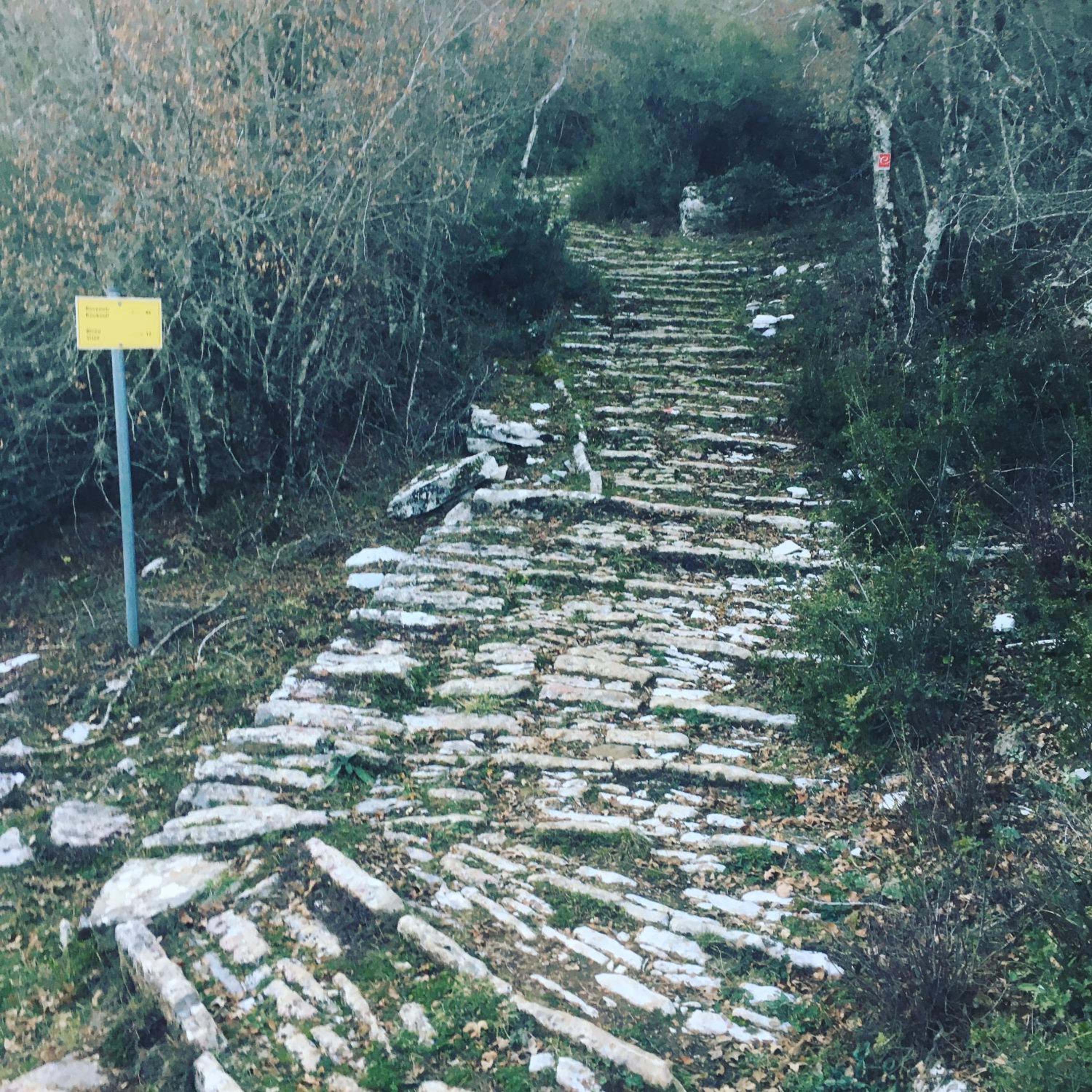 KATIKIA ZAGORI