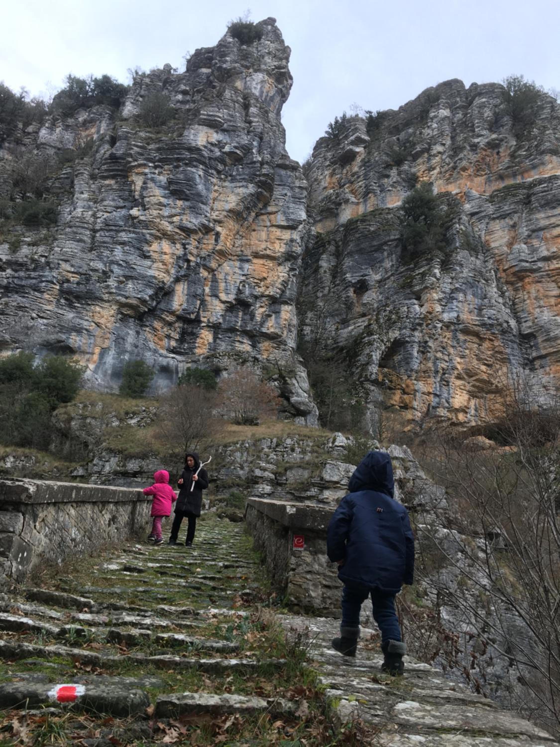 KATIKIA ZAGORI
