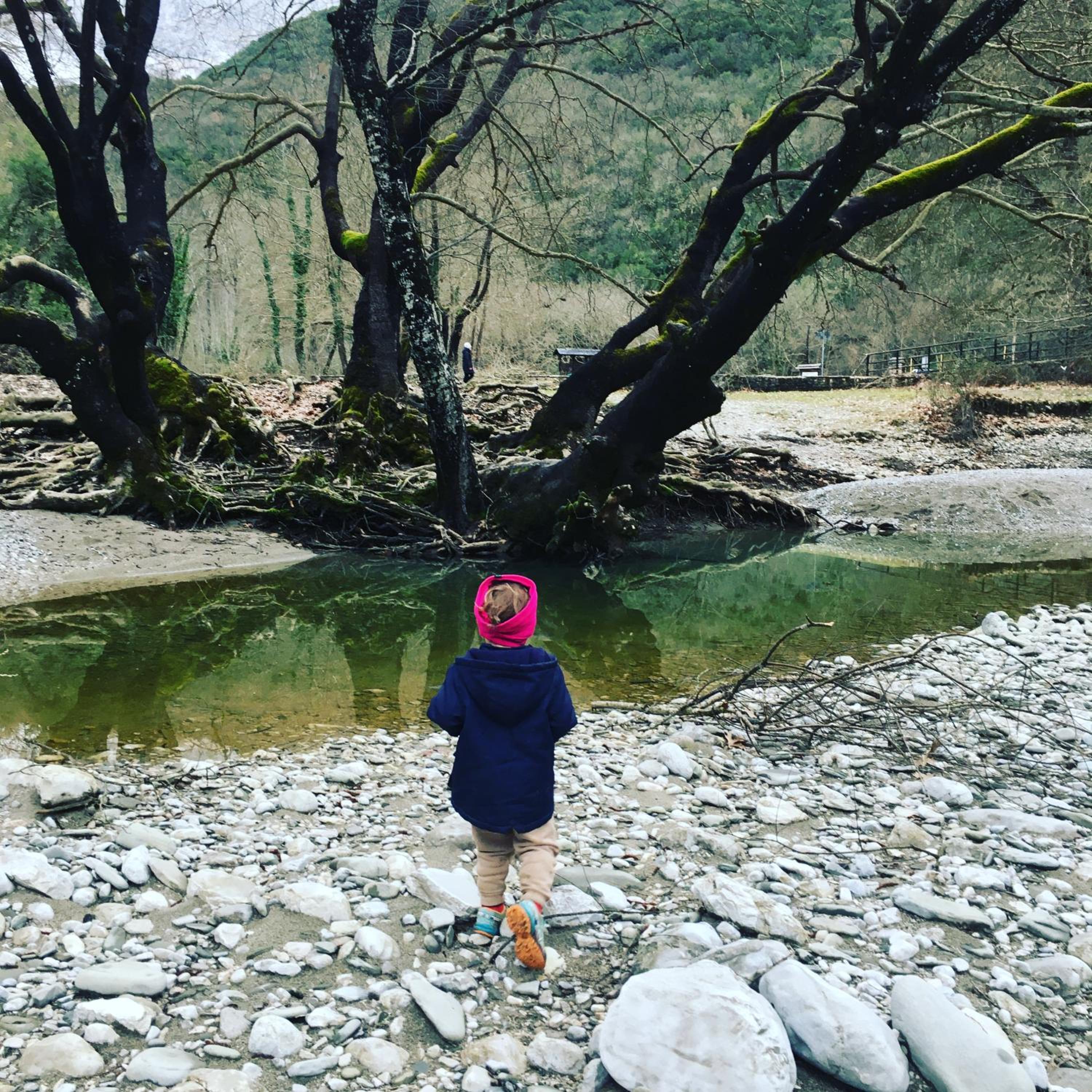 KATIKIA ZAGORI