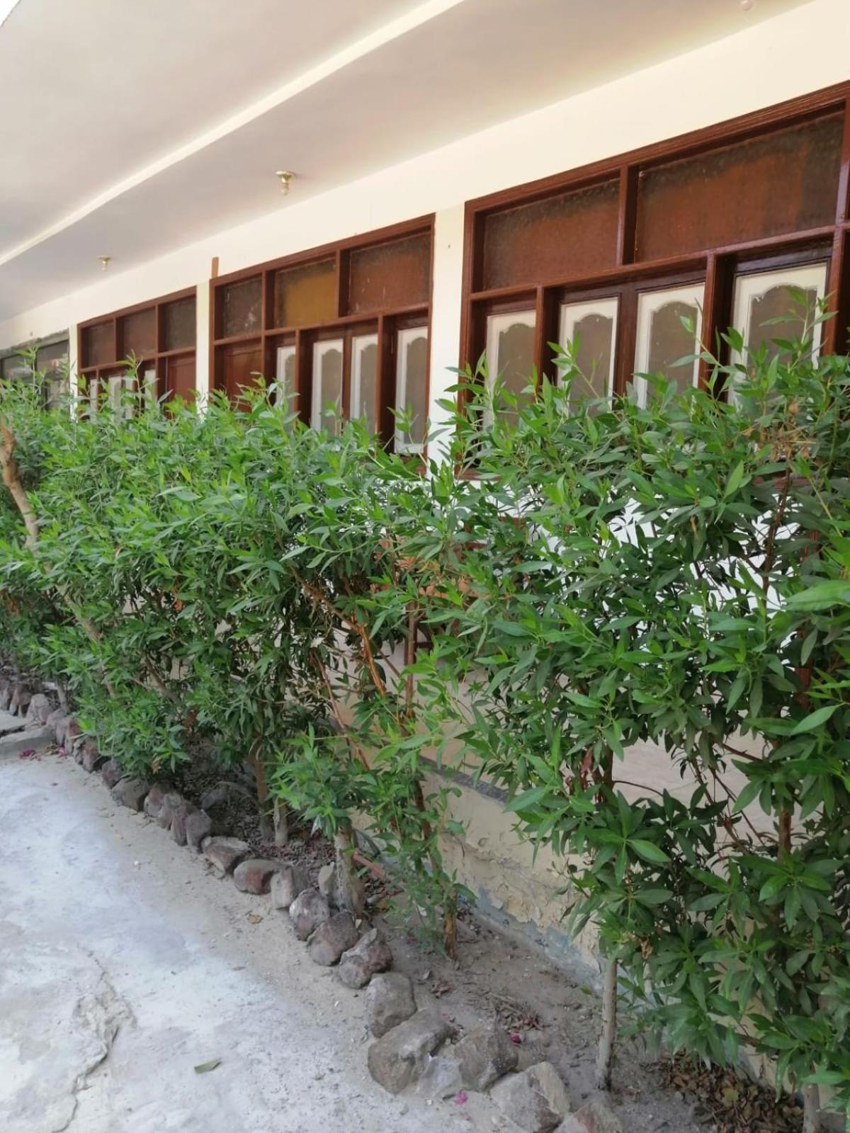 Rezeiky Hotel & Camp 您在盧克索的第二個家 view 3