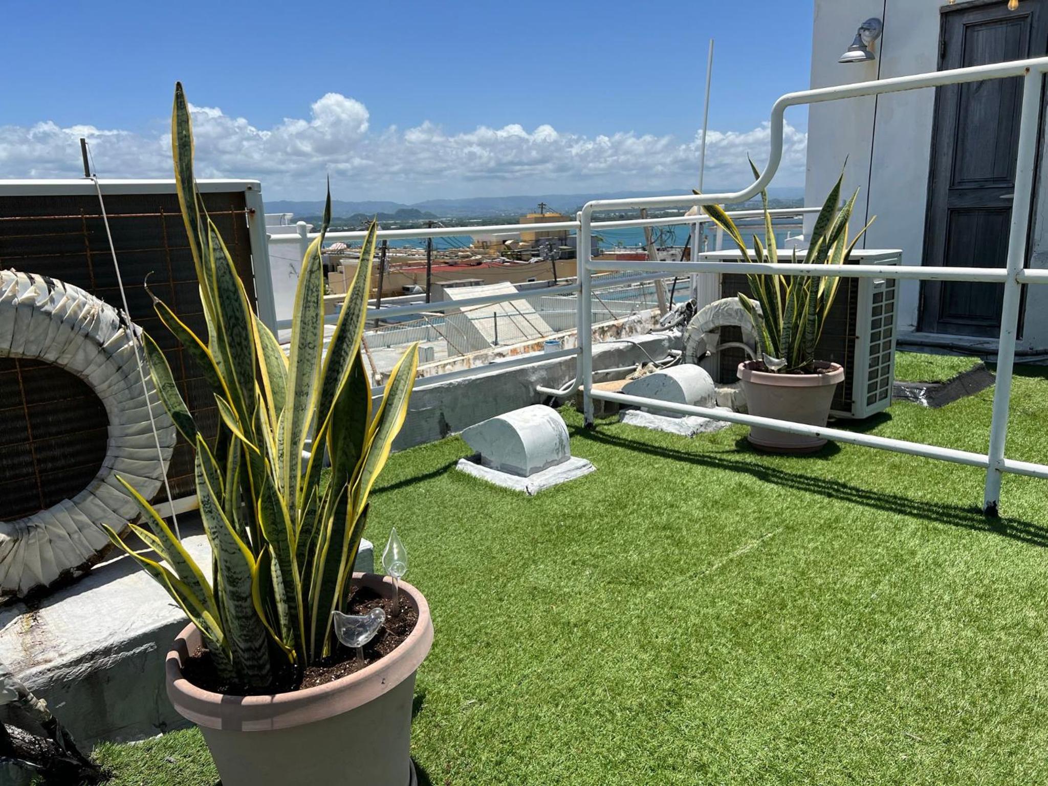 roof