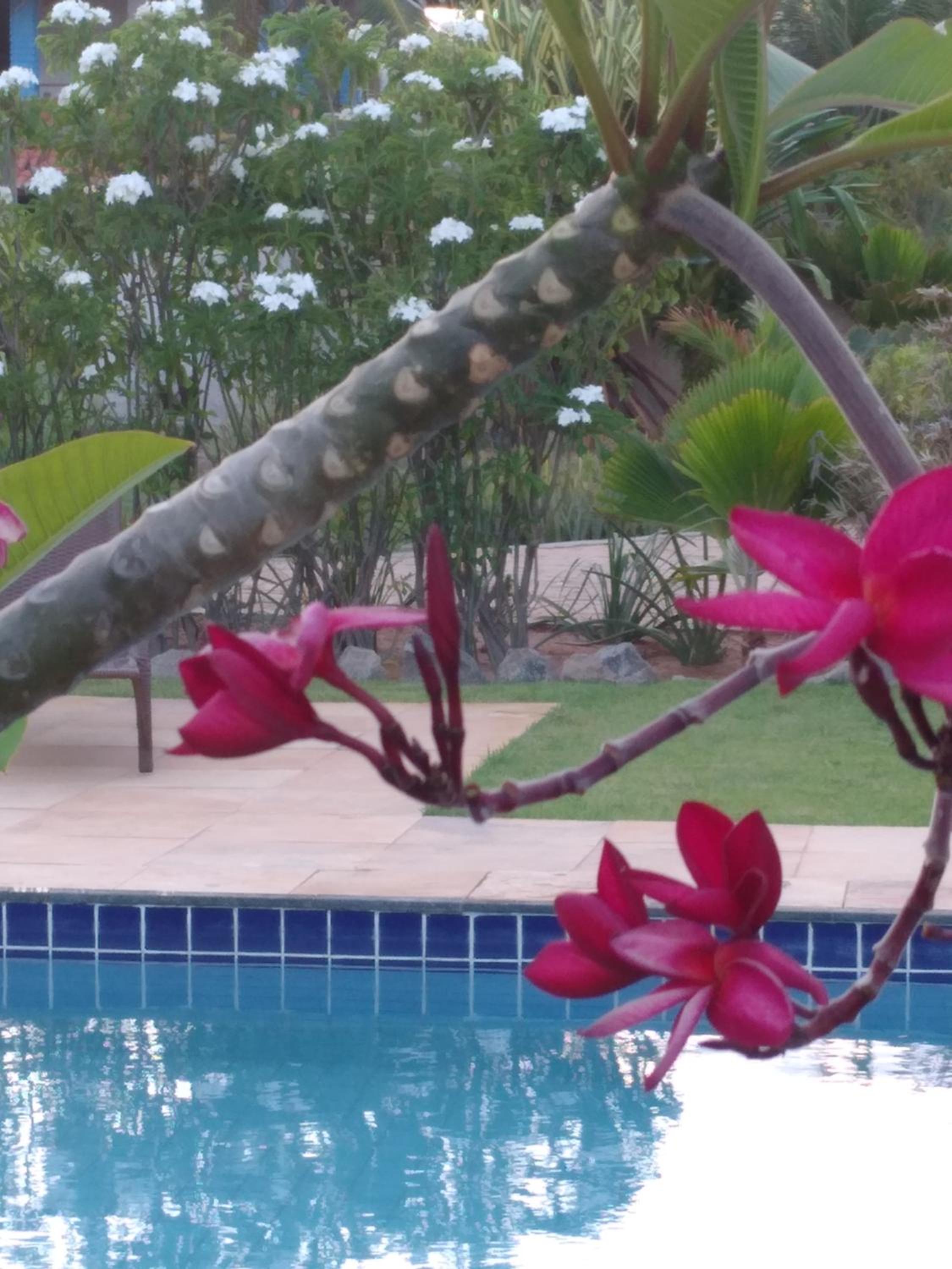 Vila Saguaro