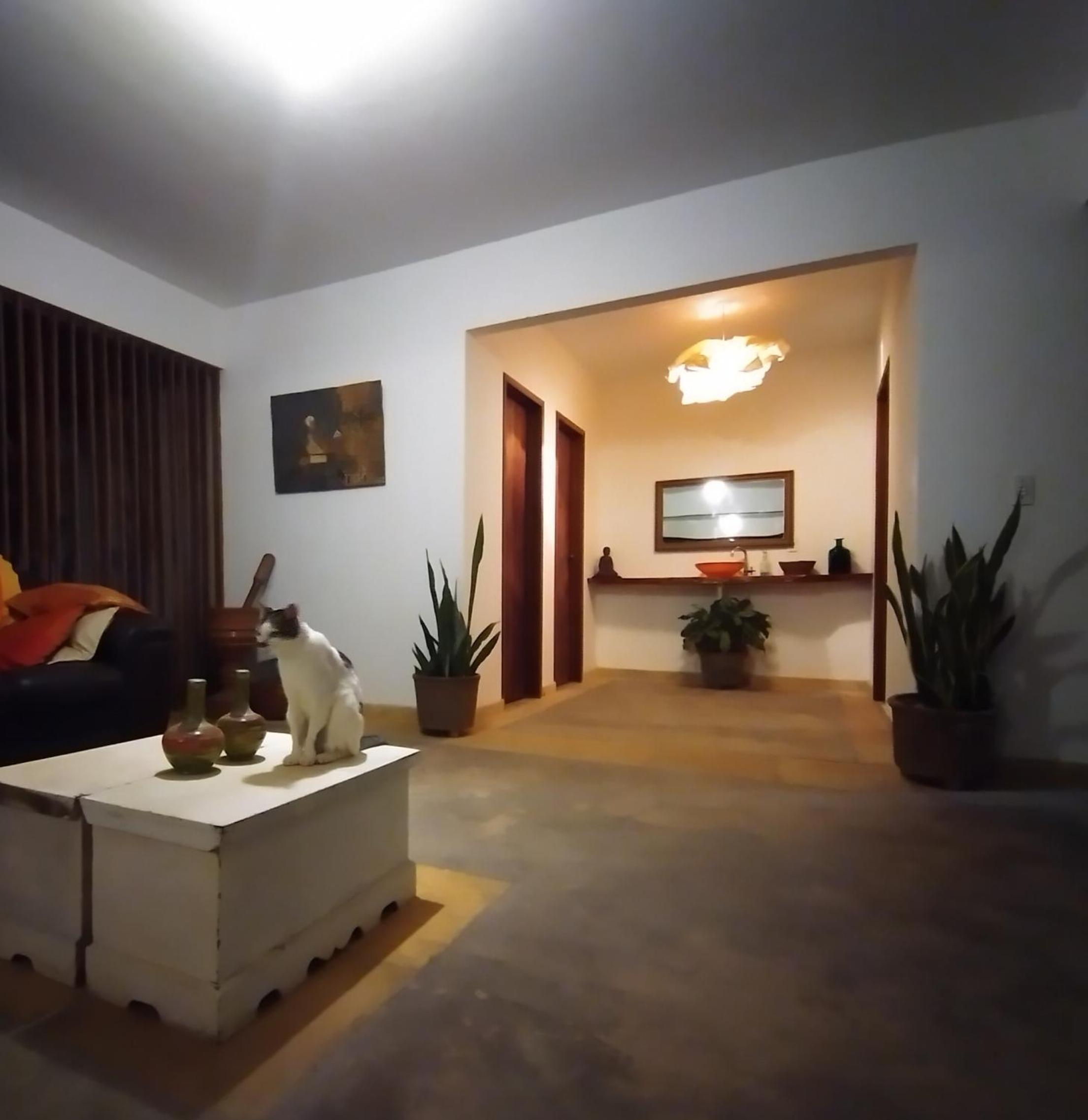 Vila Saguaro