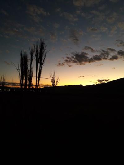 Photo 50
