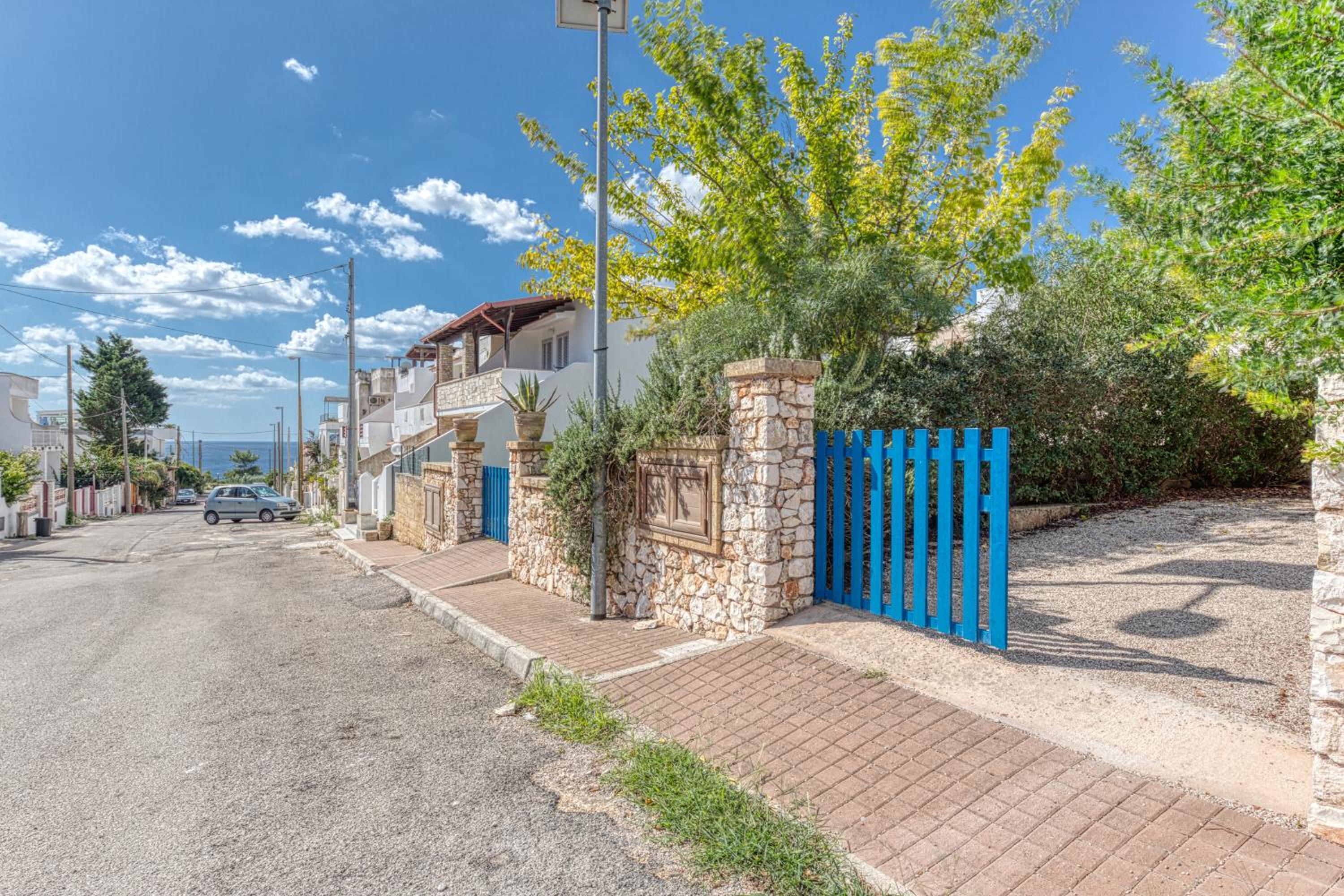 L'ulivo di Novaglie