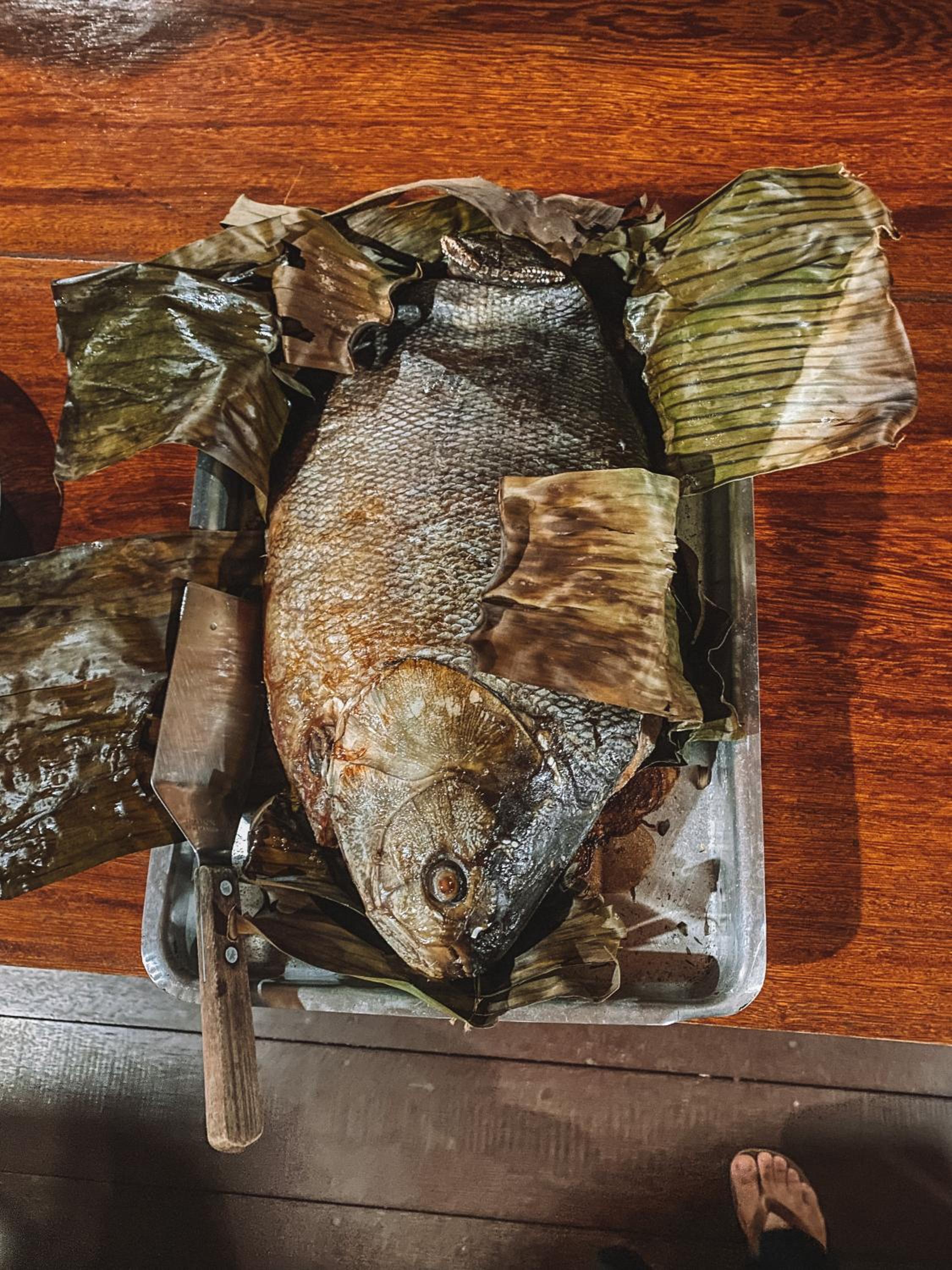 Amazon Arowana Lodge