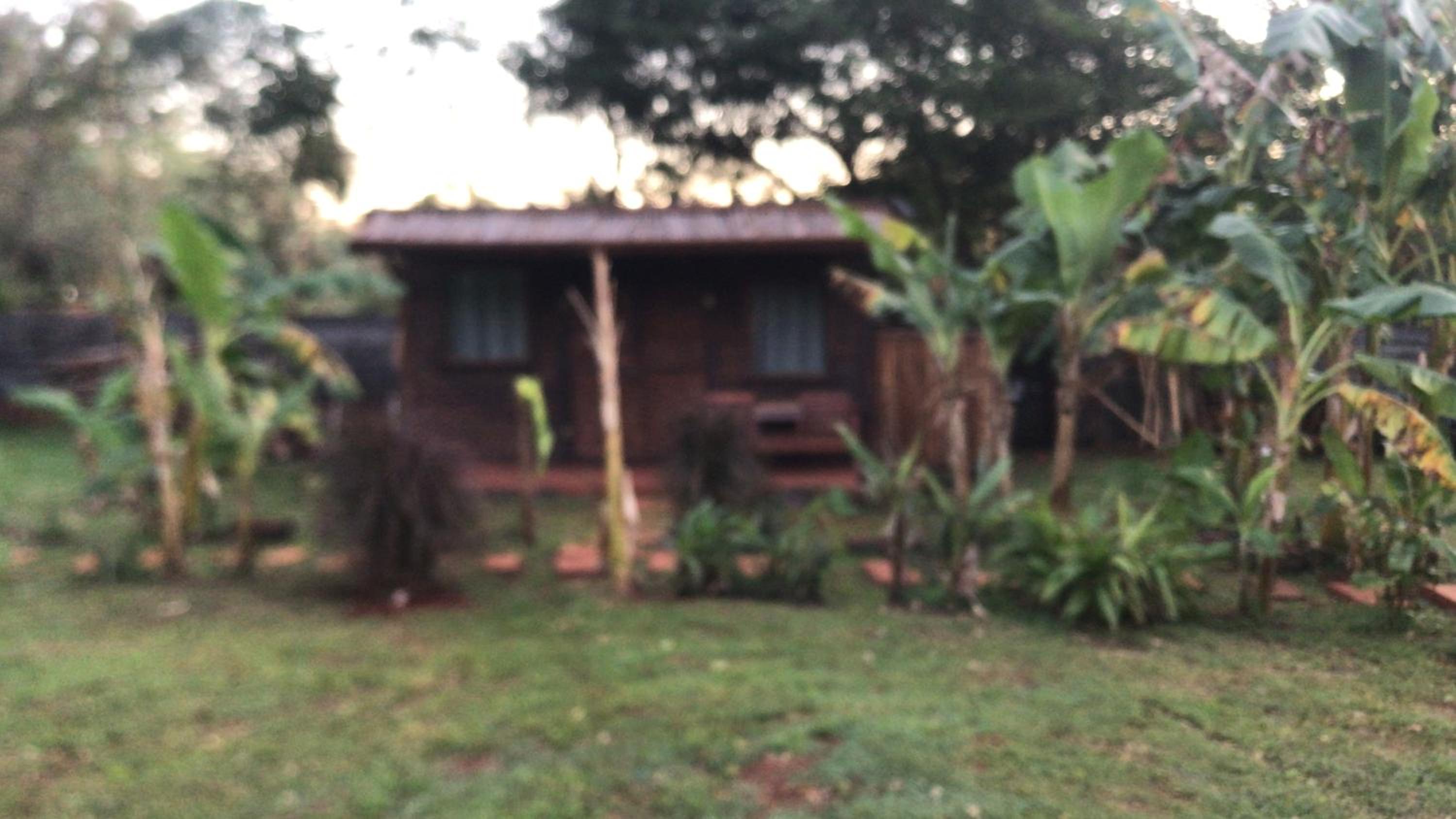 Los Bananos - Tiny Wood Cabin