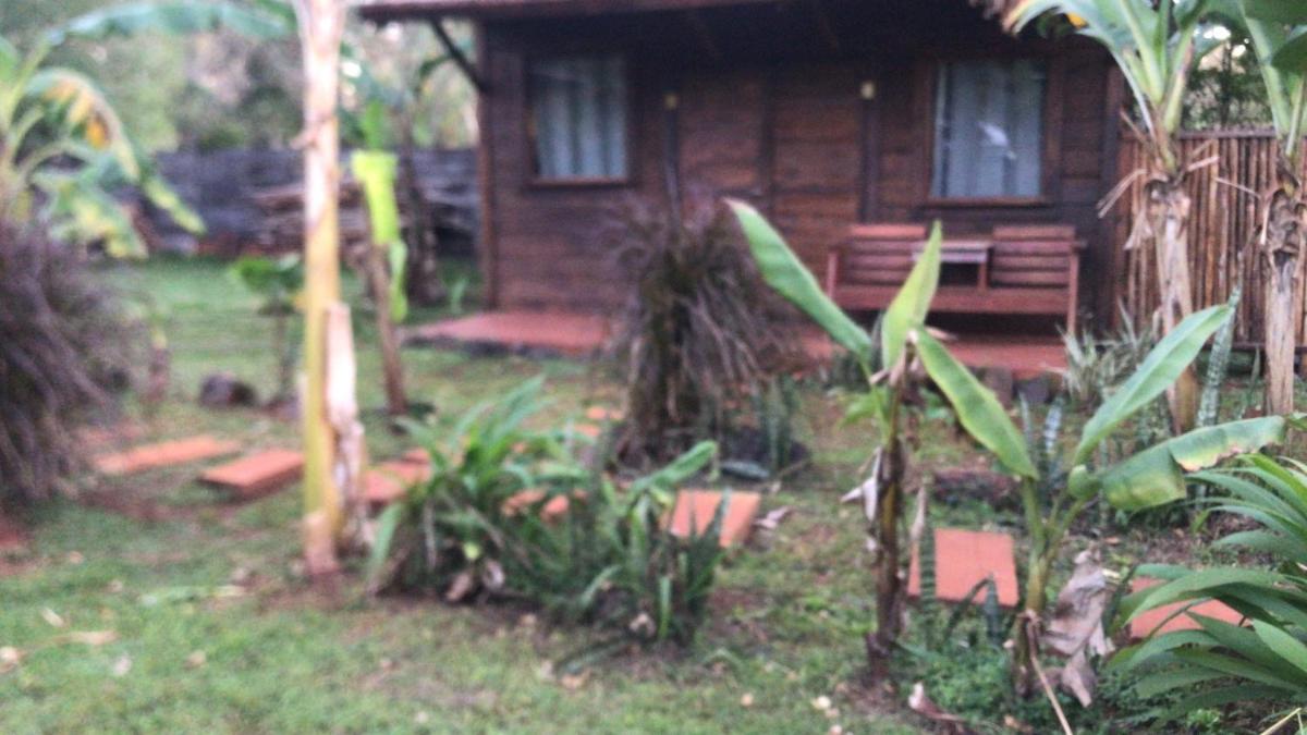 Los Bananos - Tiny Wood Cabin