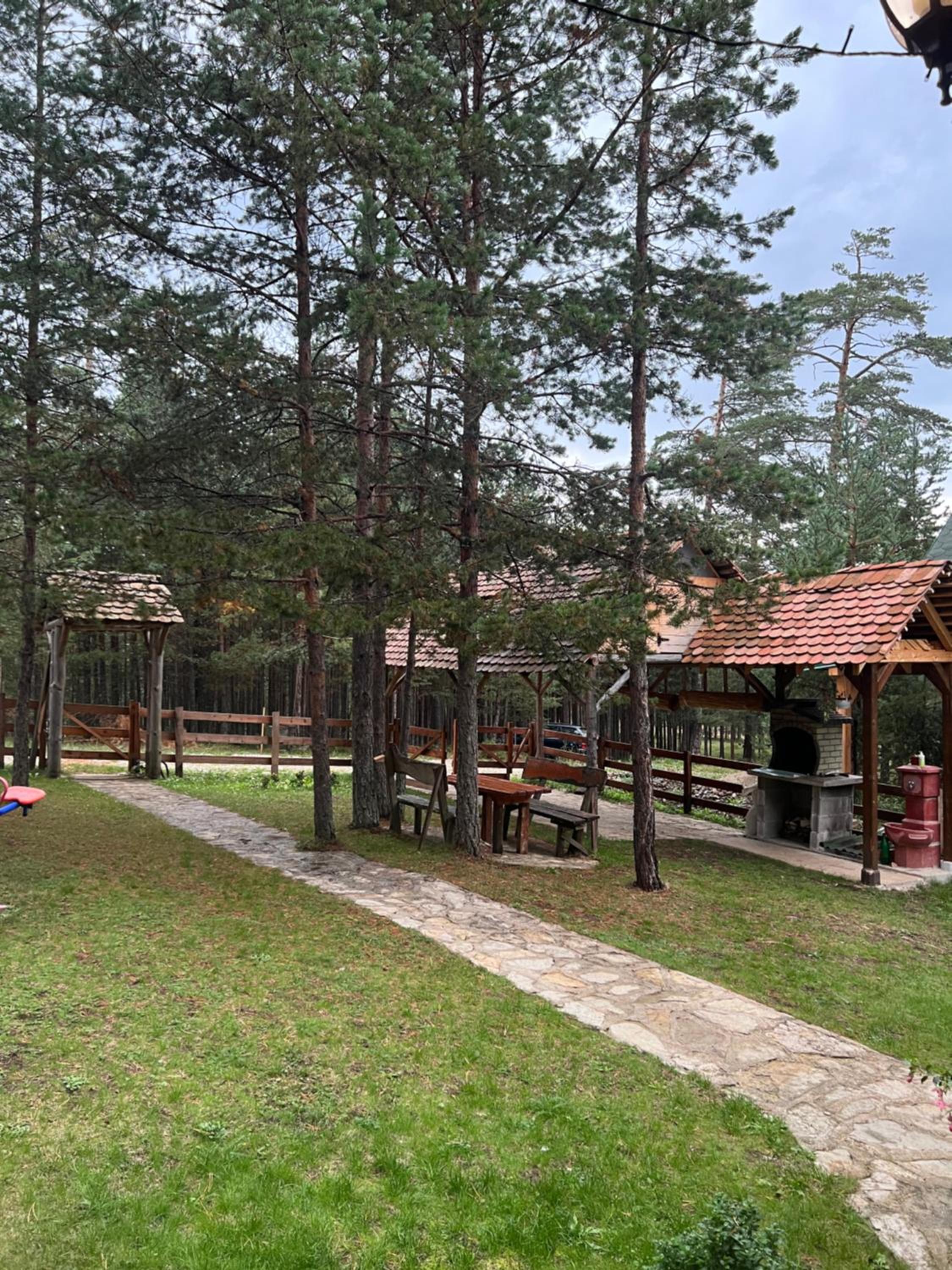 Photo 10