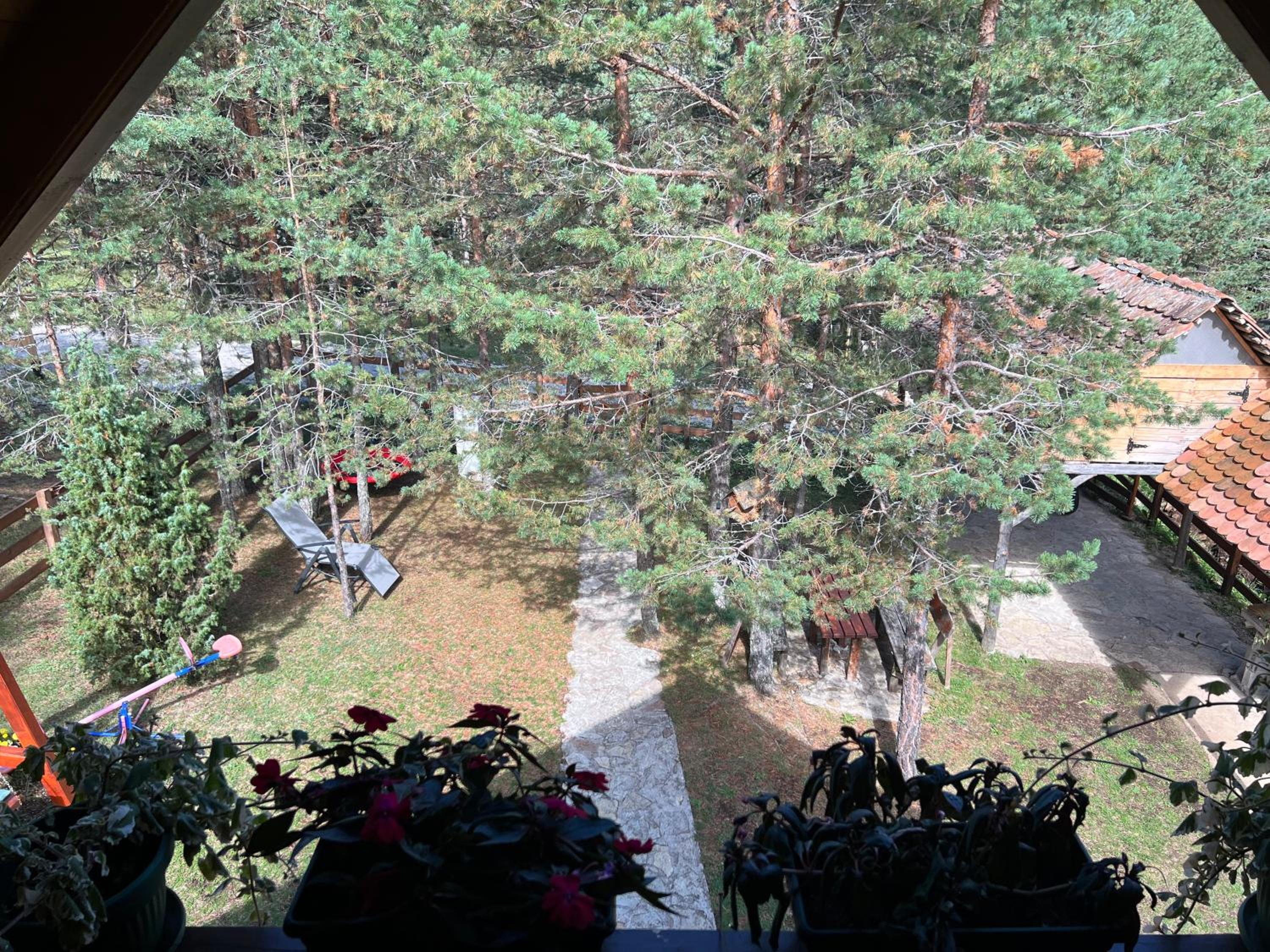 Photo 11