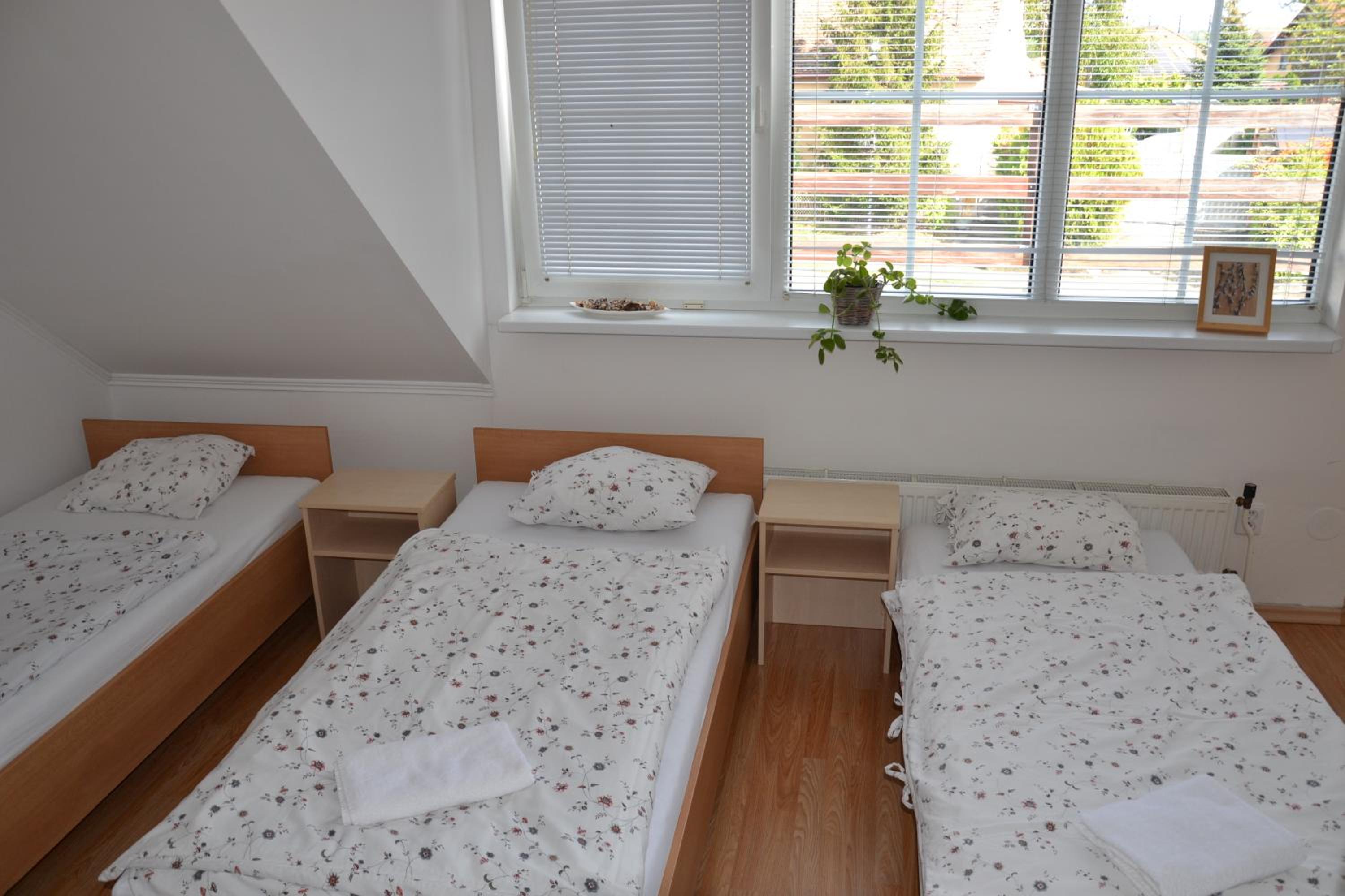Photo 51