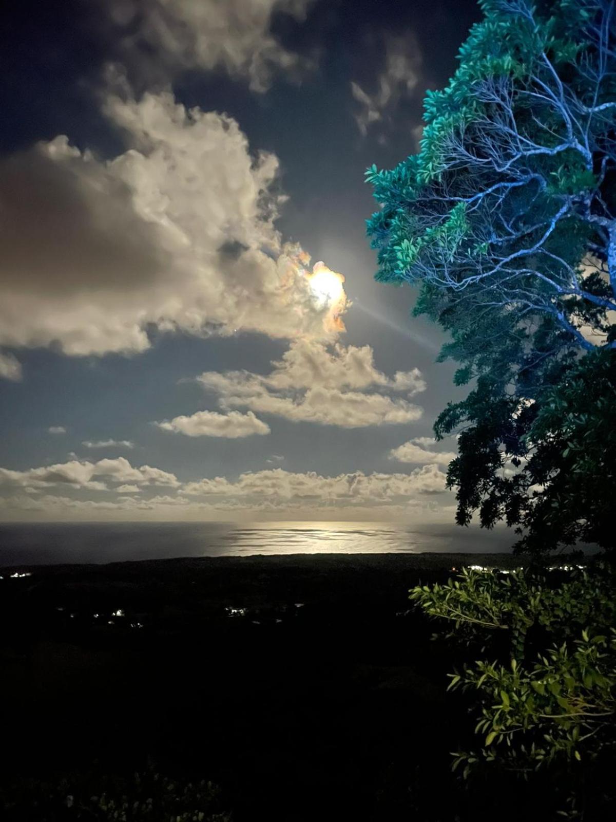 El Castillo Tropical view 2