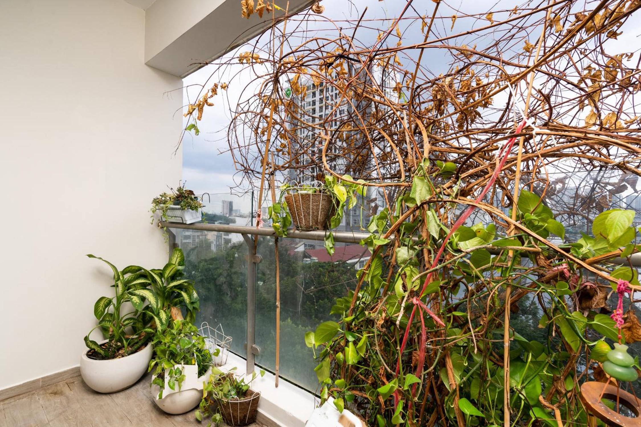 Luxury Gold Apartment 86 -Rooftop Pool Central City