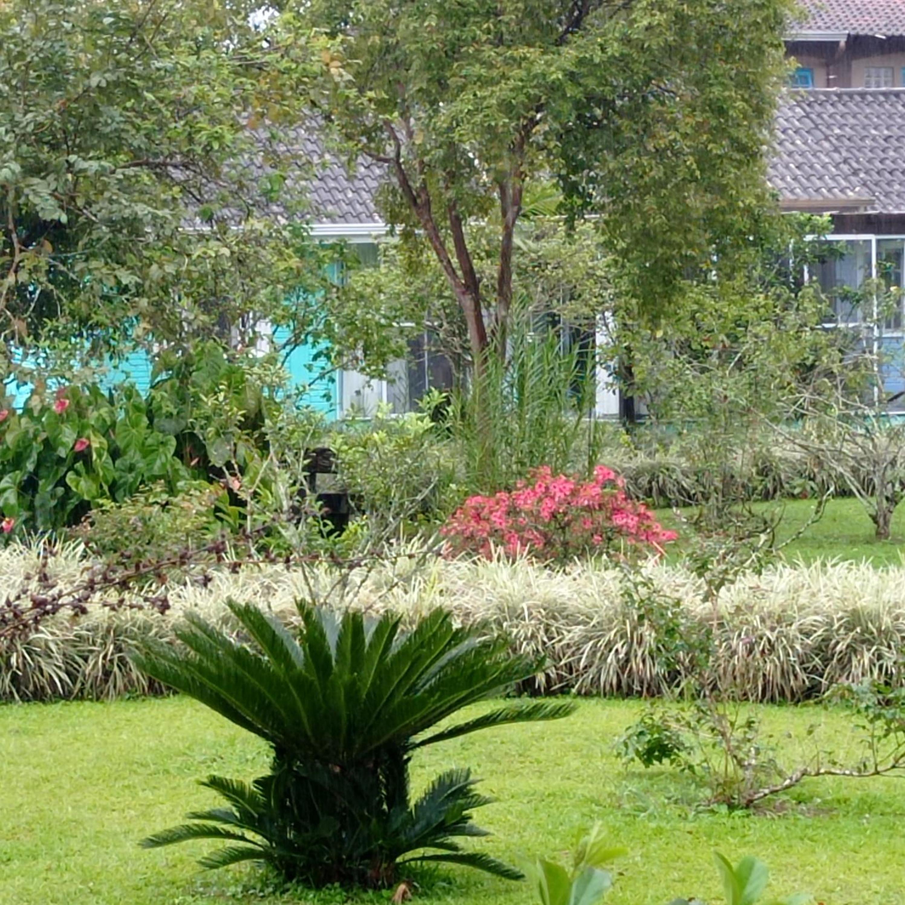 Photo 16