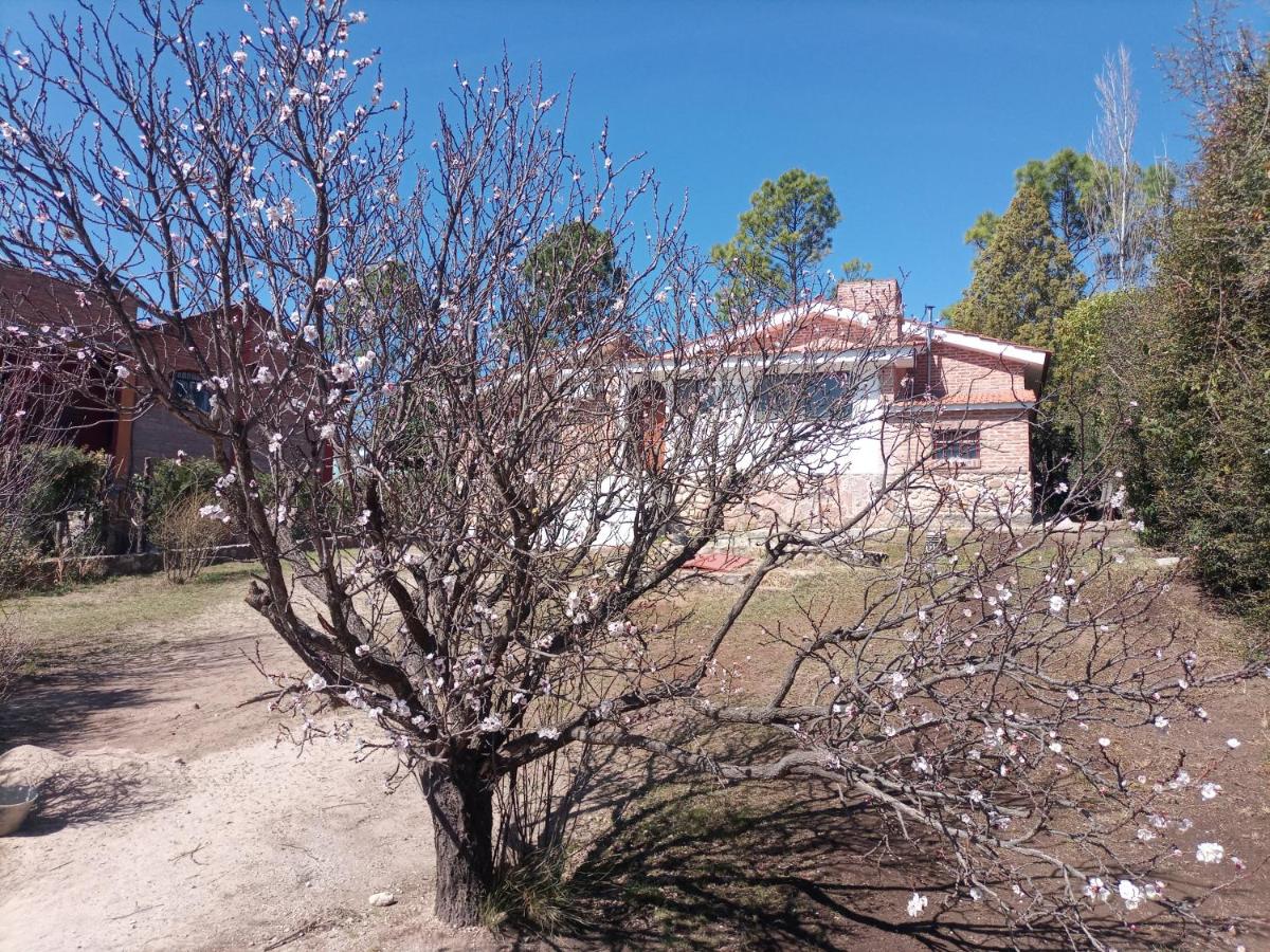Cabañas Akumali