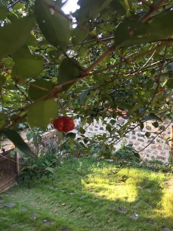Casa no paraíso ecológico da Ilha Grande