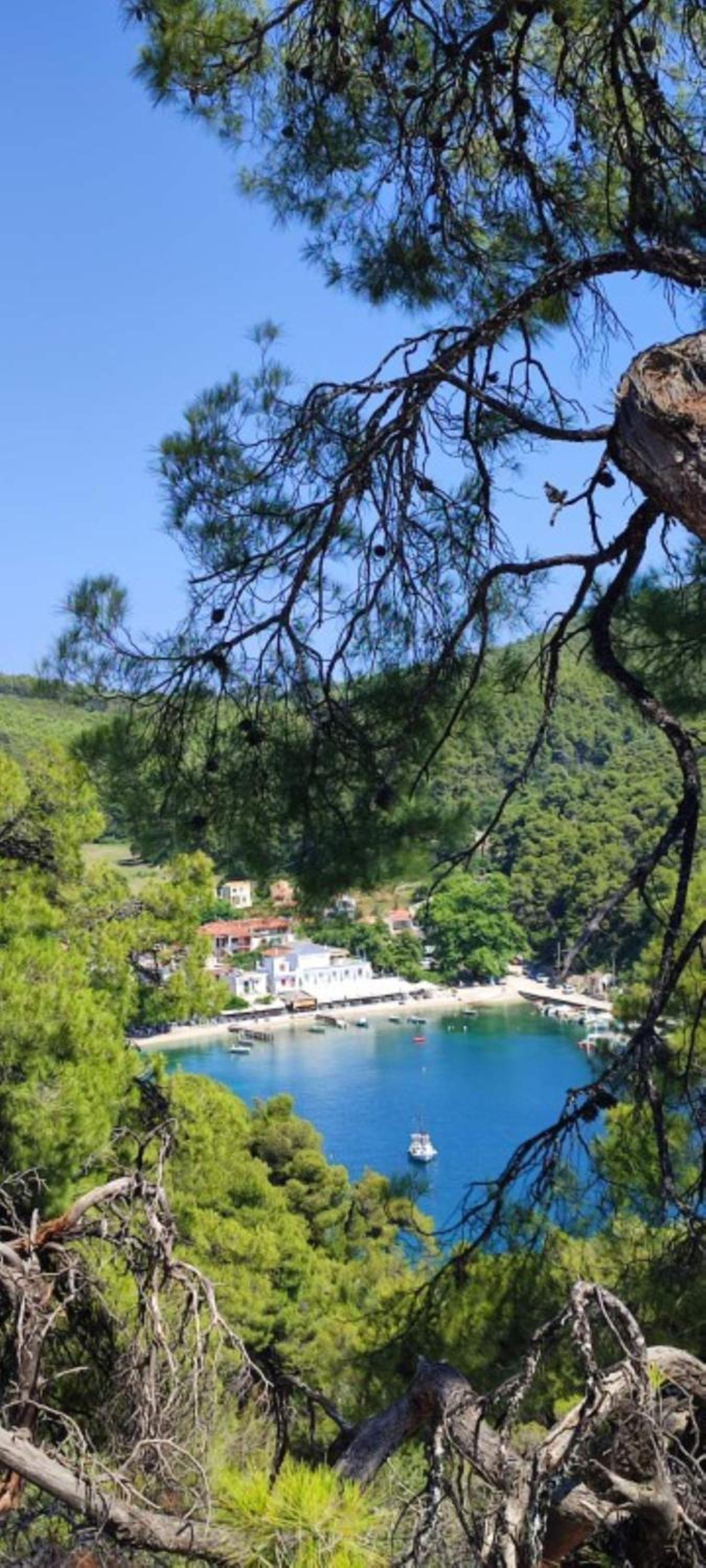 Skopelos country house Diamantis & Chrisi view 2