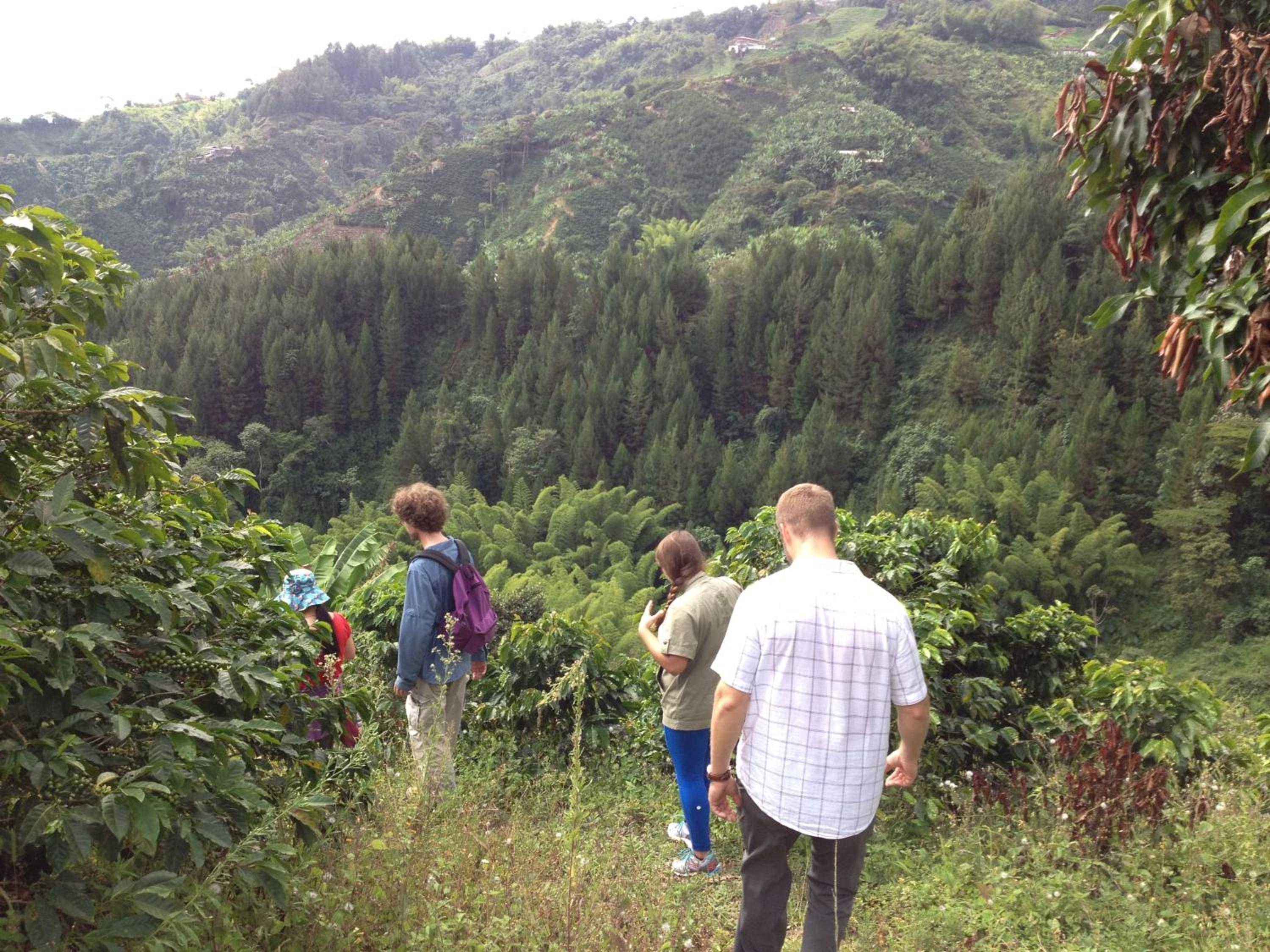 Mirador Finca Morrogacho