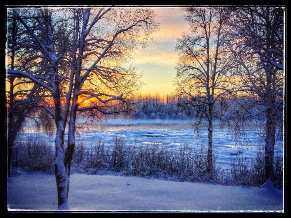 Riverside Cabins at Susitna River Lodge view 4